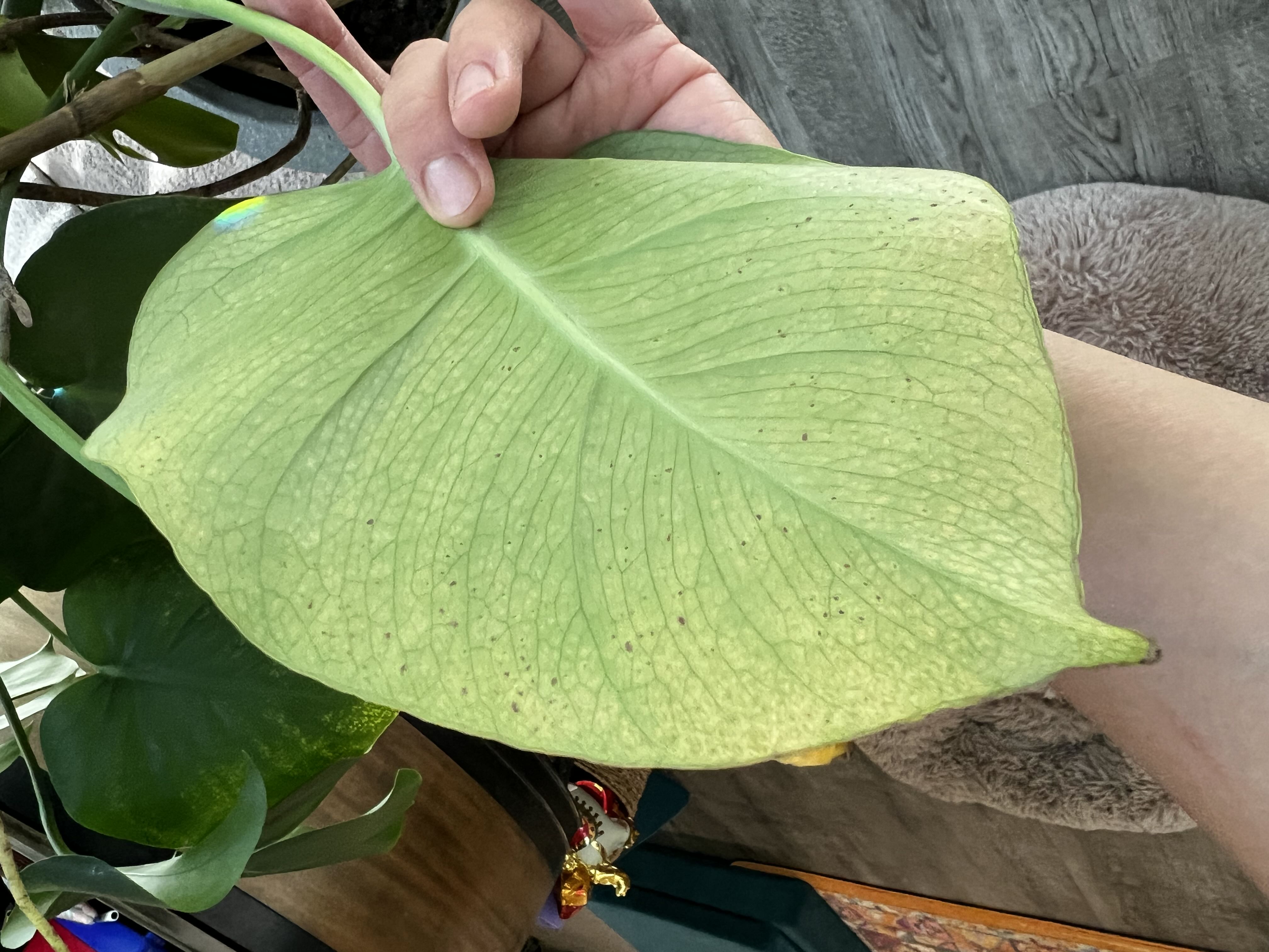 Photo from the post