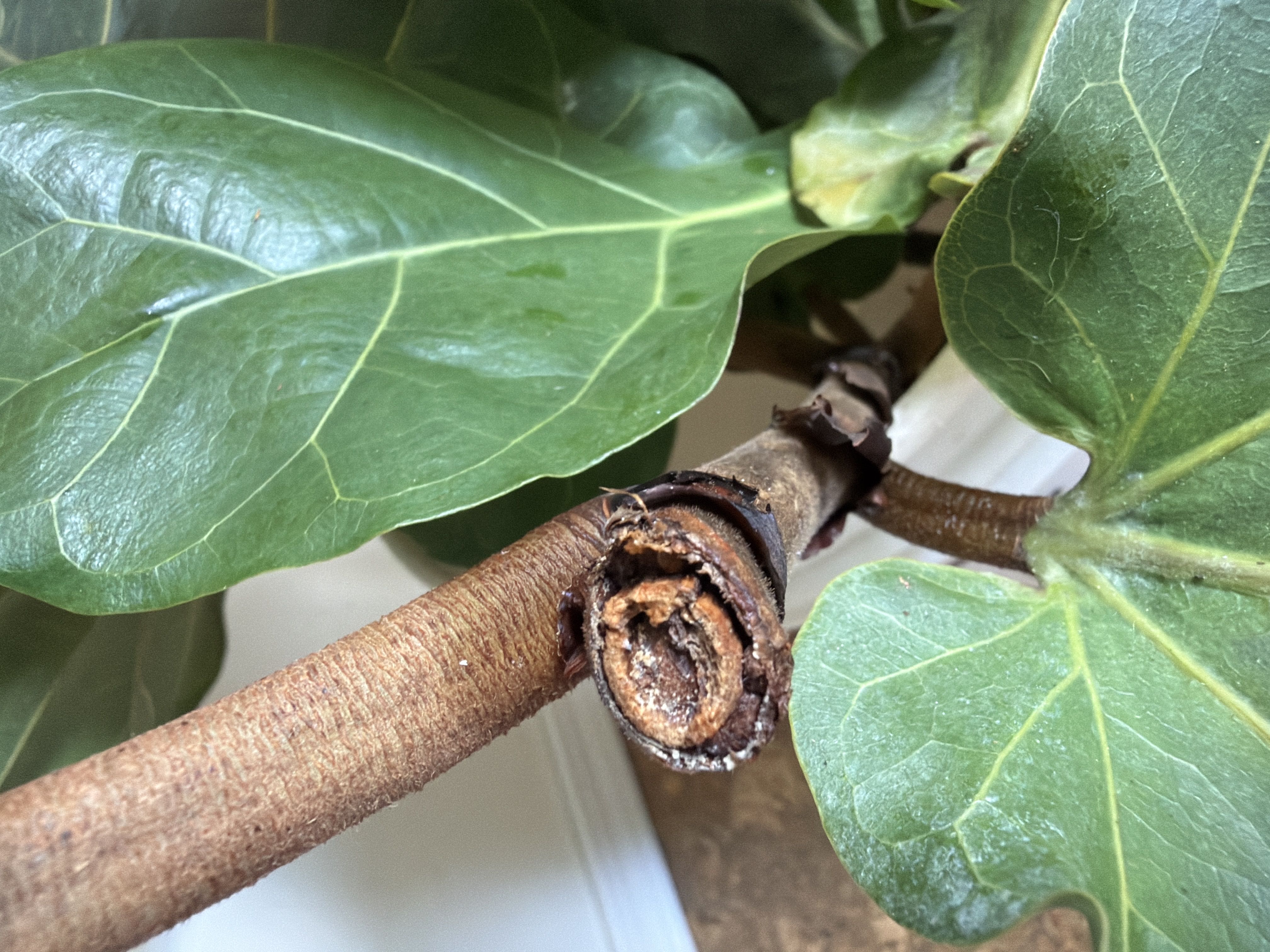 Photo from the post
