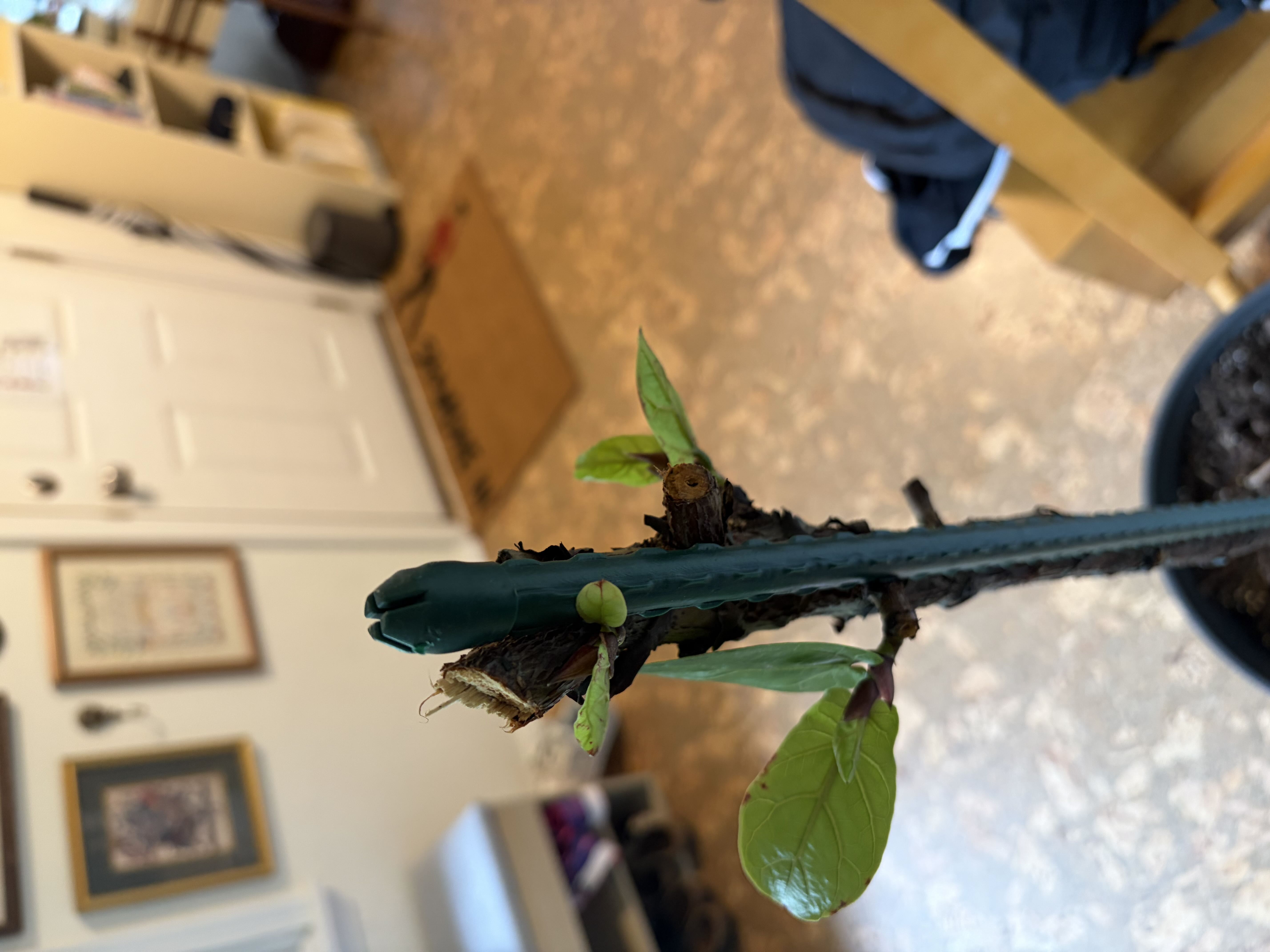 Photo from the post