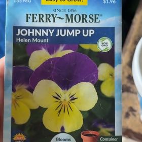 Photo of the plant species Wild Pansy by @HipTearose47 named Winston on Greg, the plant care app