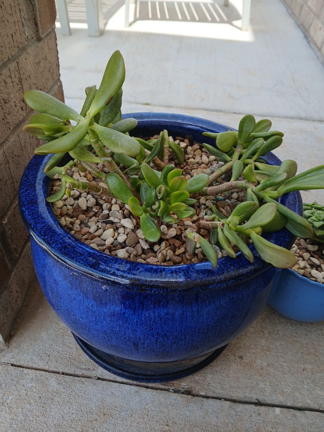 Photo from the post