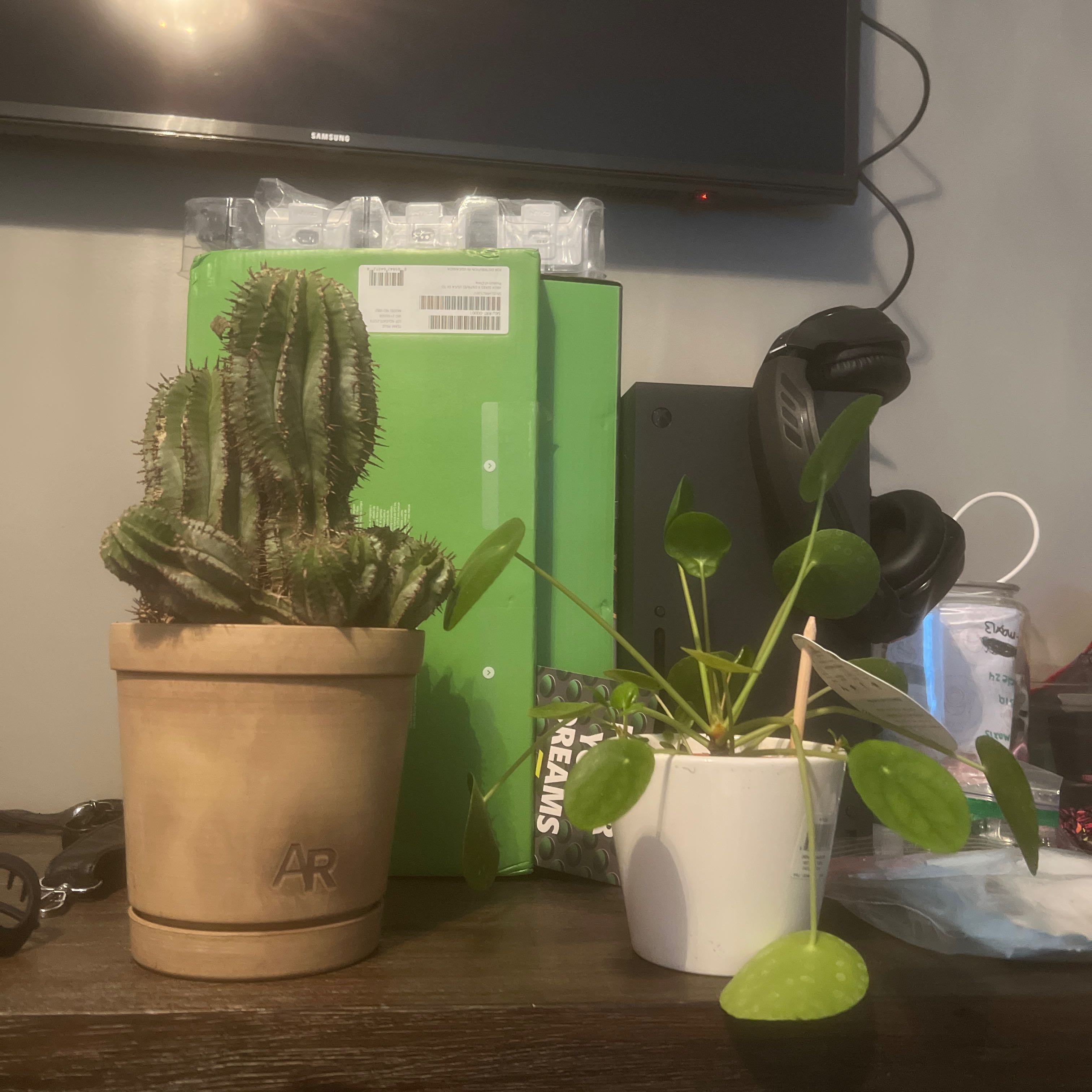 Photo of the plant species Milk Barrel Cactus by @SlinkySeaoats74 named Kobe on Greg, the plant care app