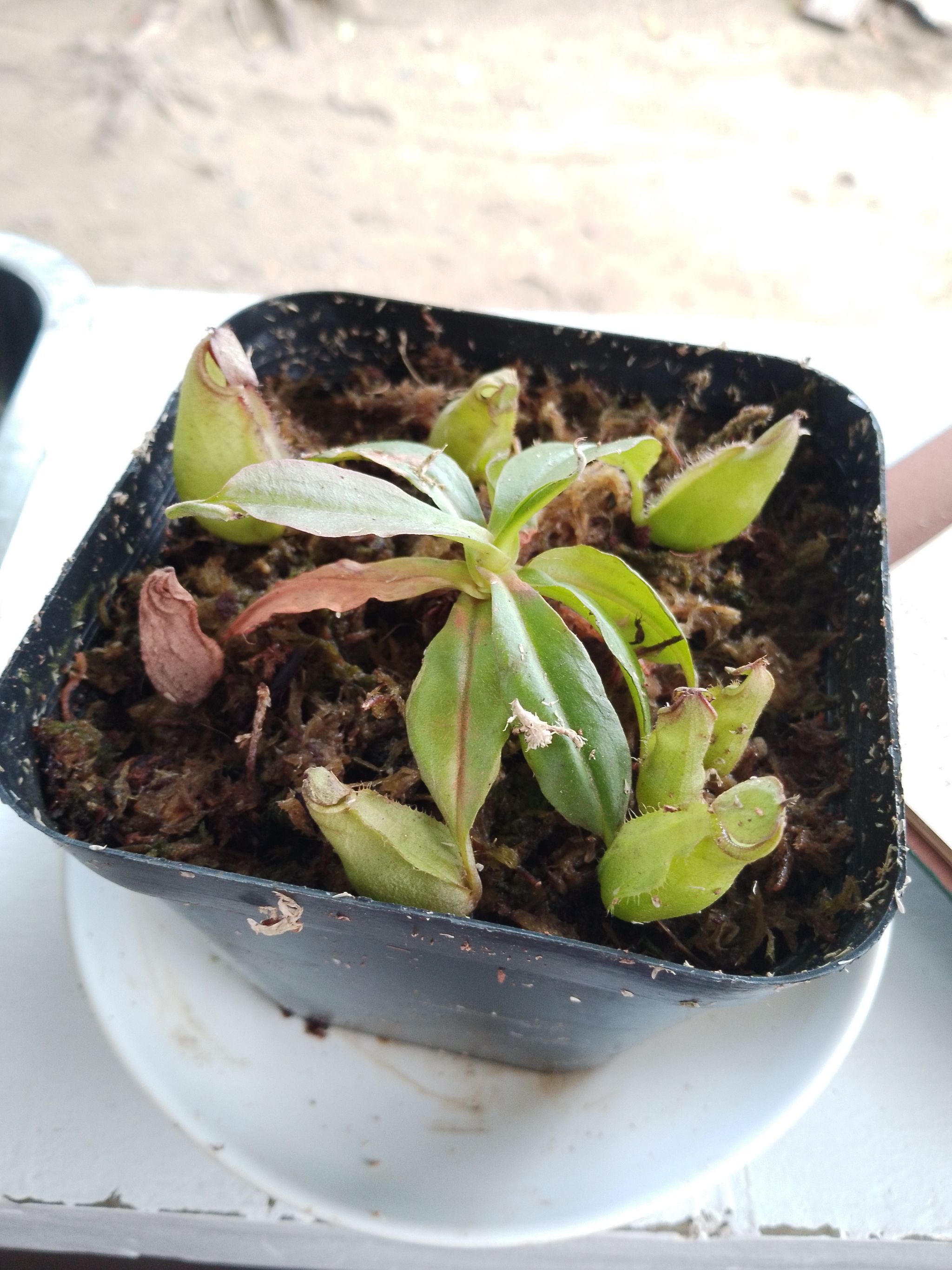 Photo from the post