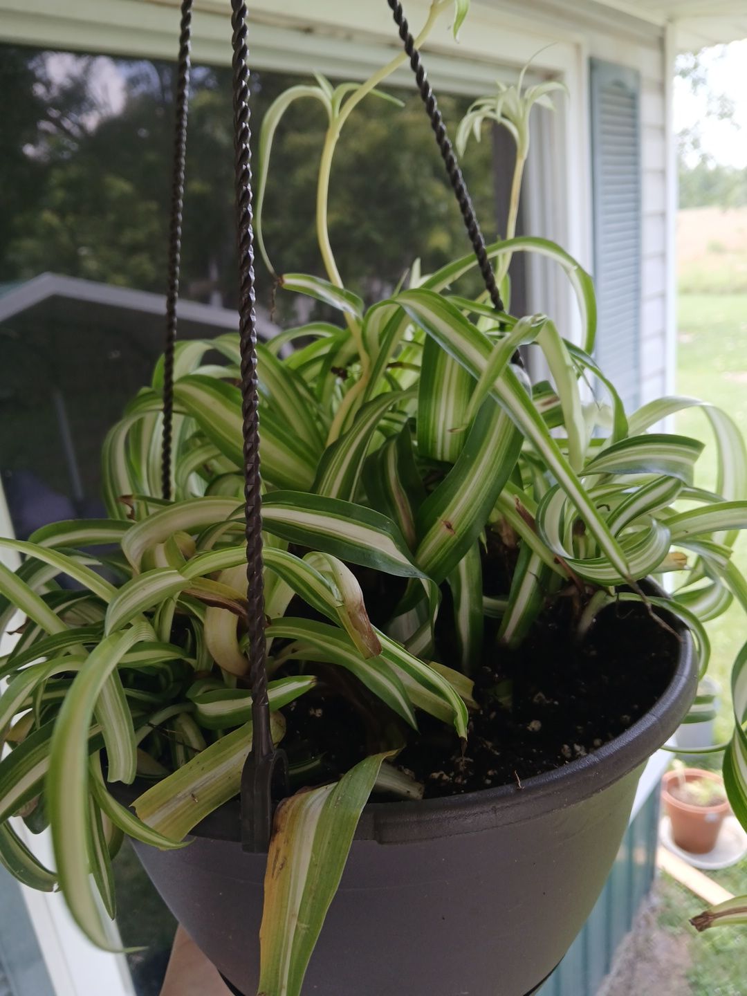 Photo from the post
