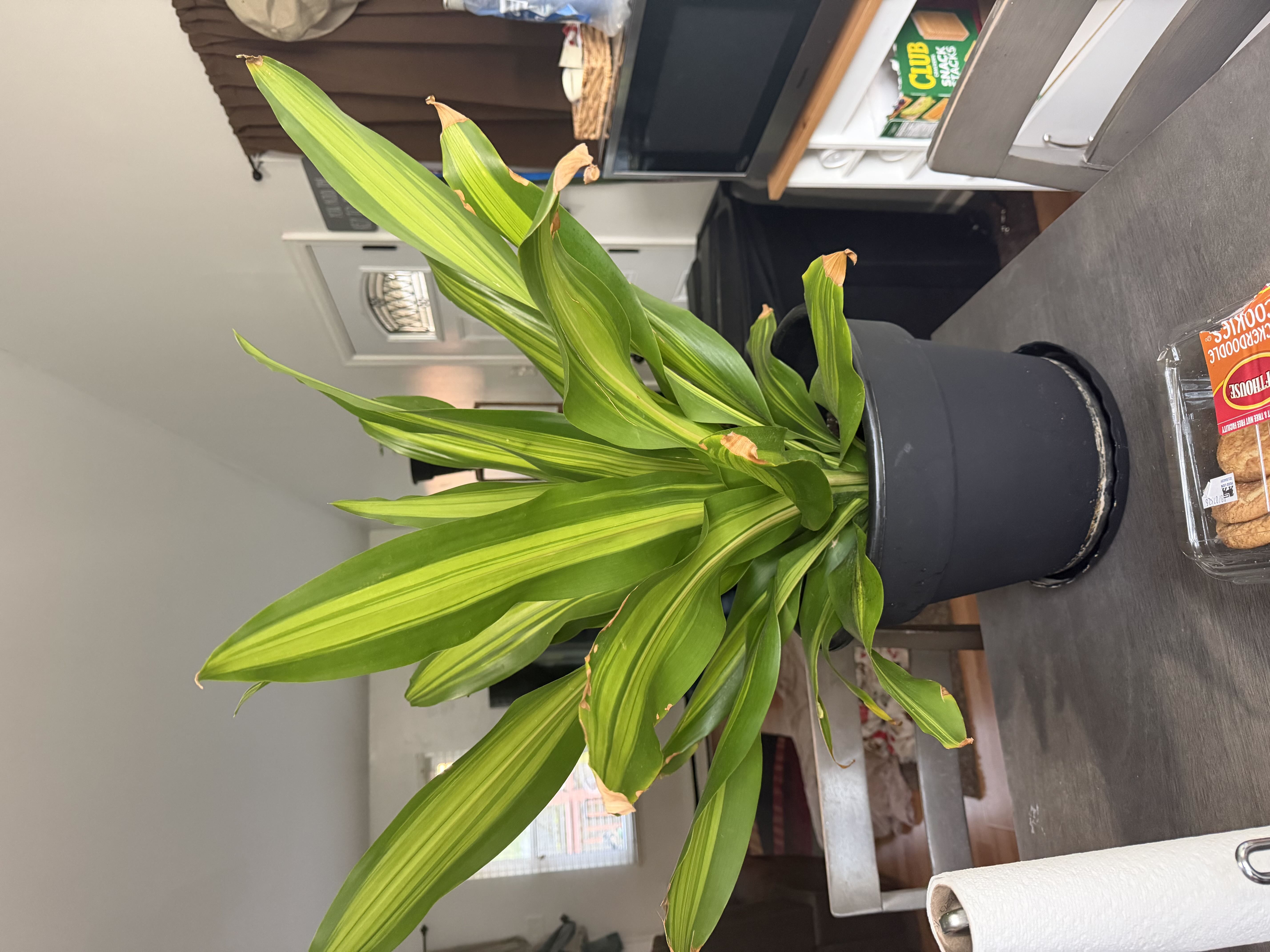 Photo from the post