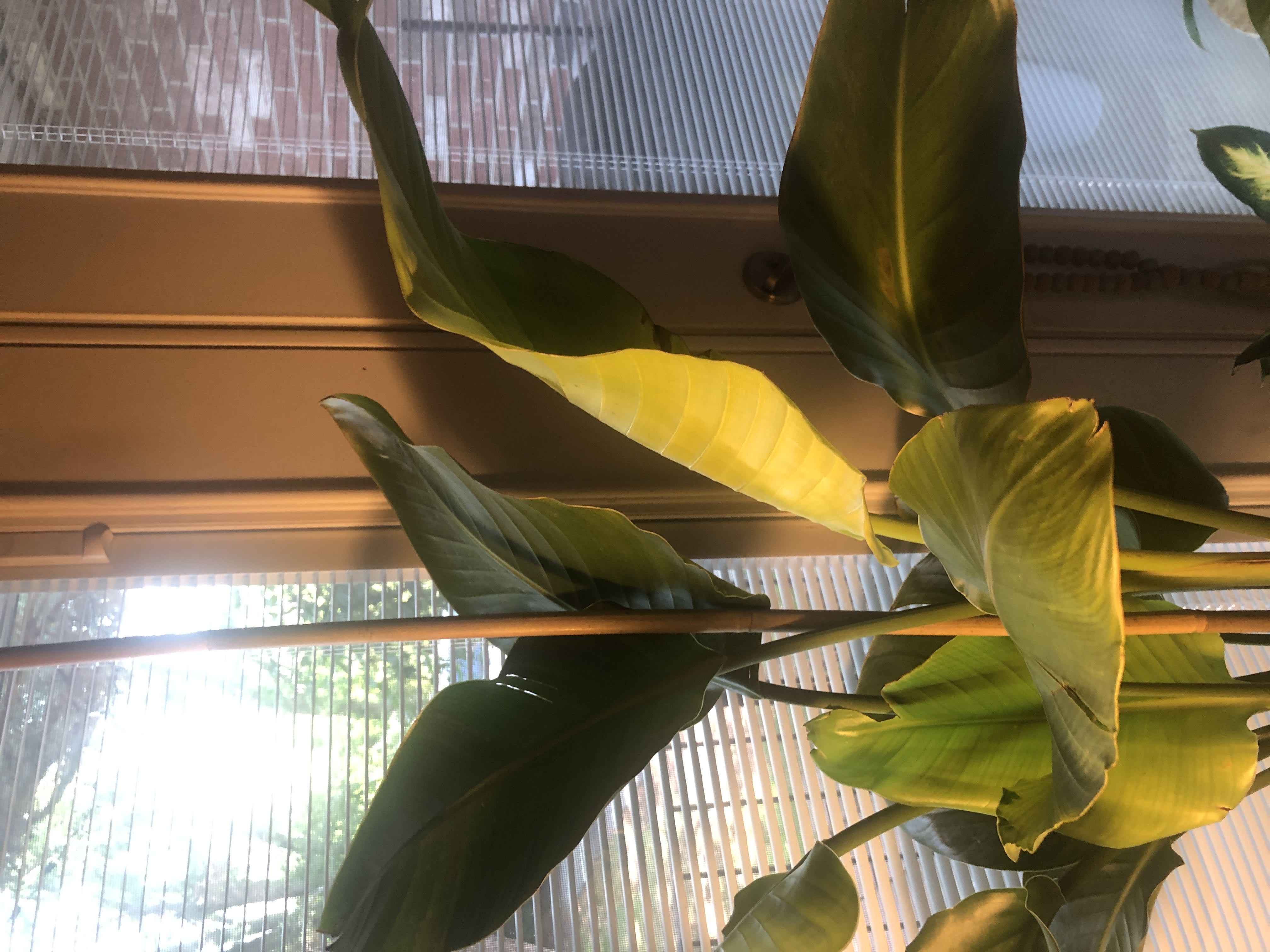 Photo from the post
