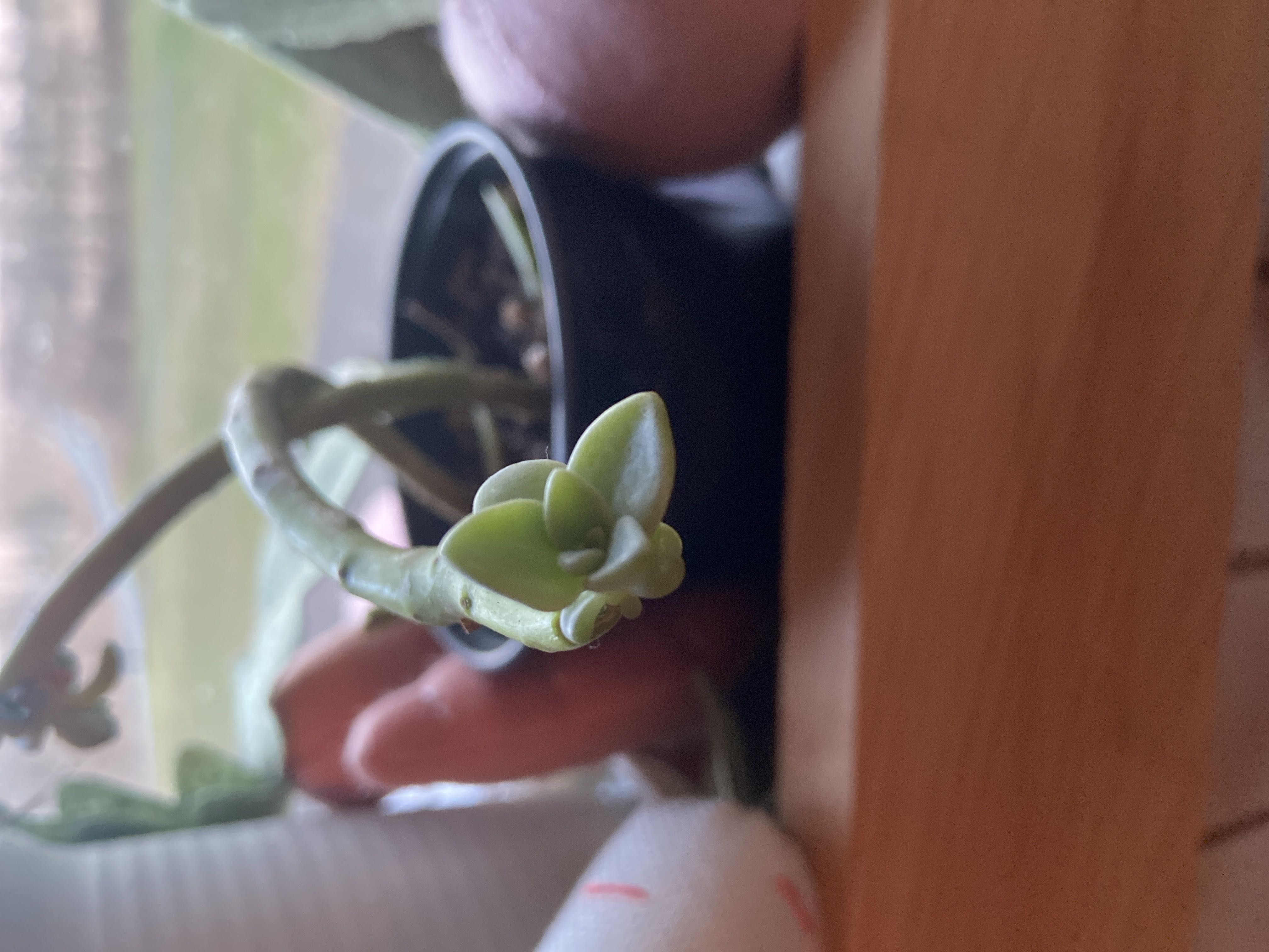 Photo from the post