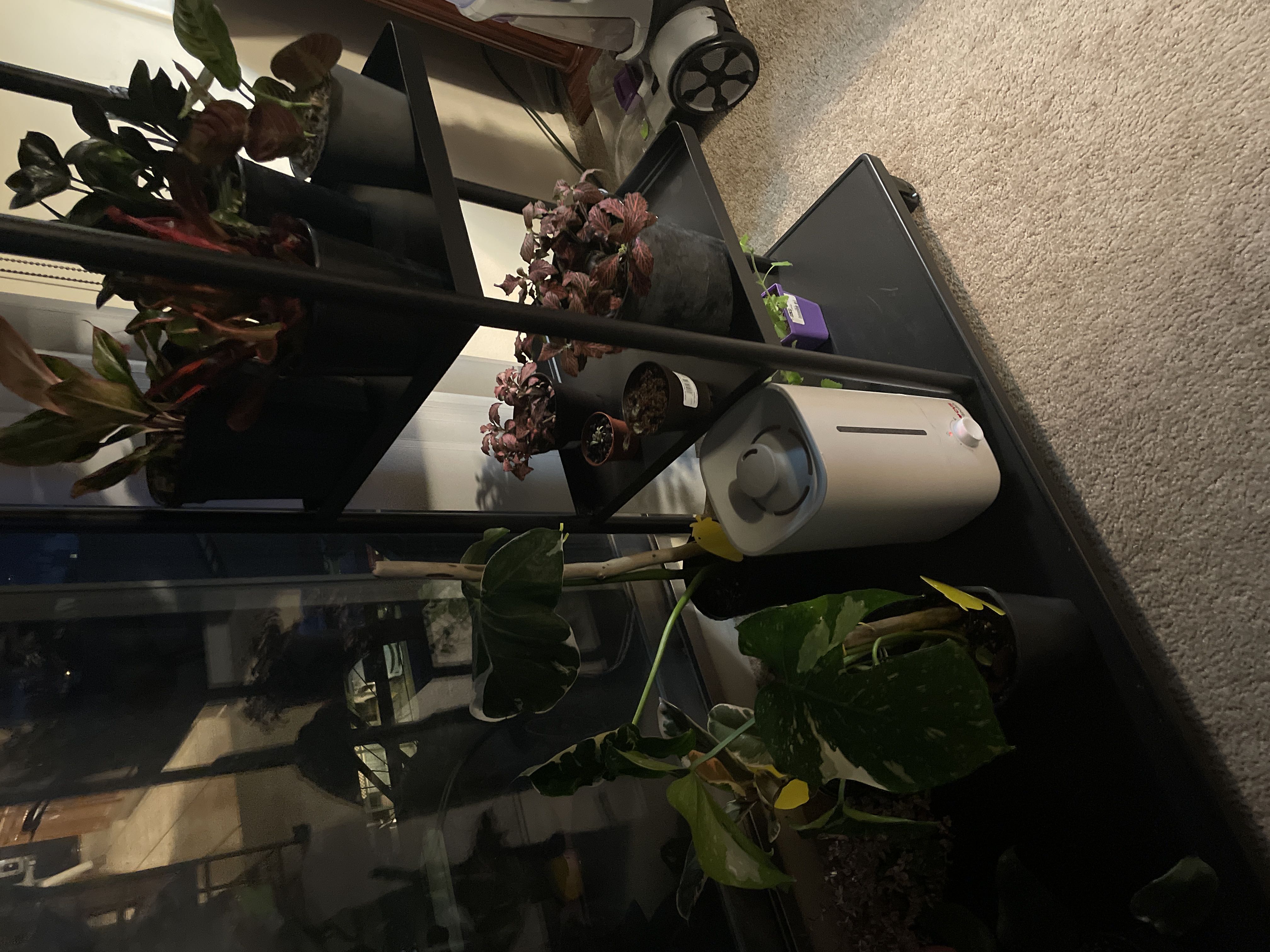 Photo from the post