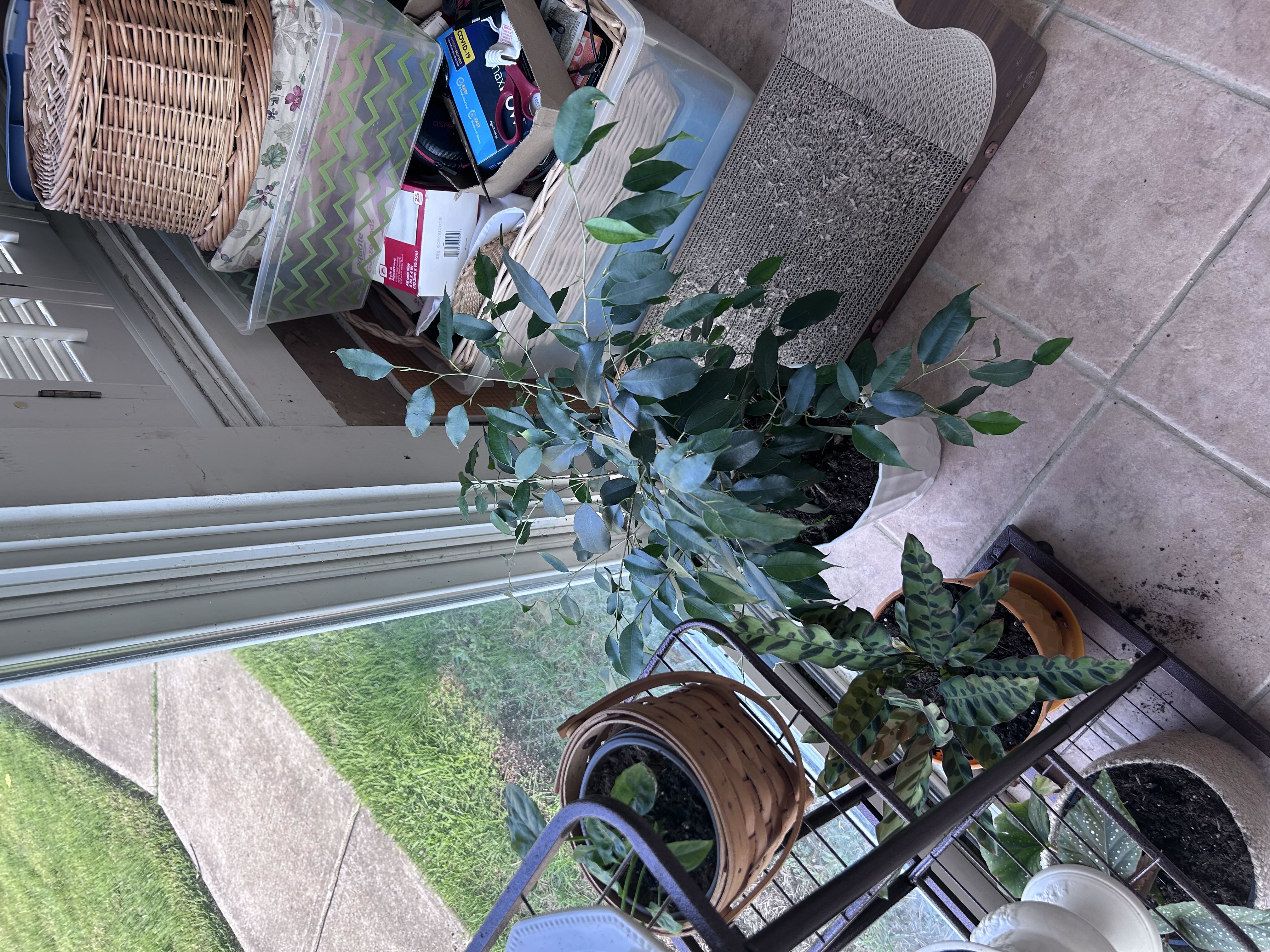 Photo from the post
