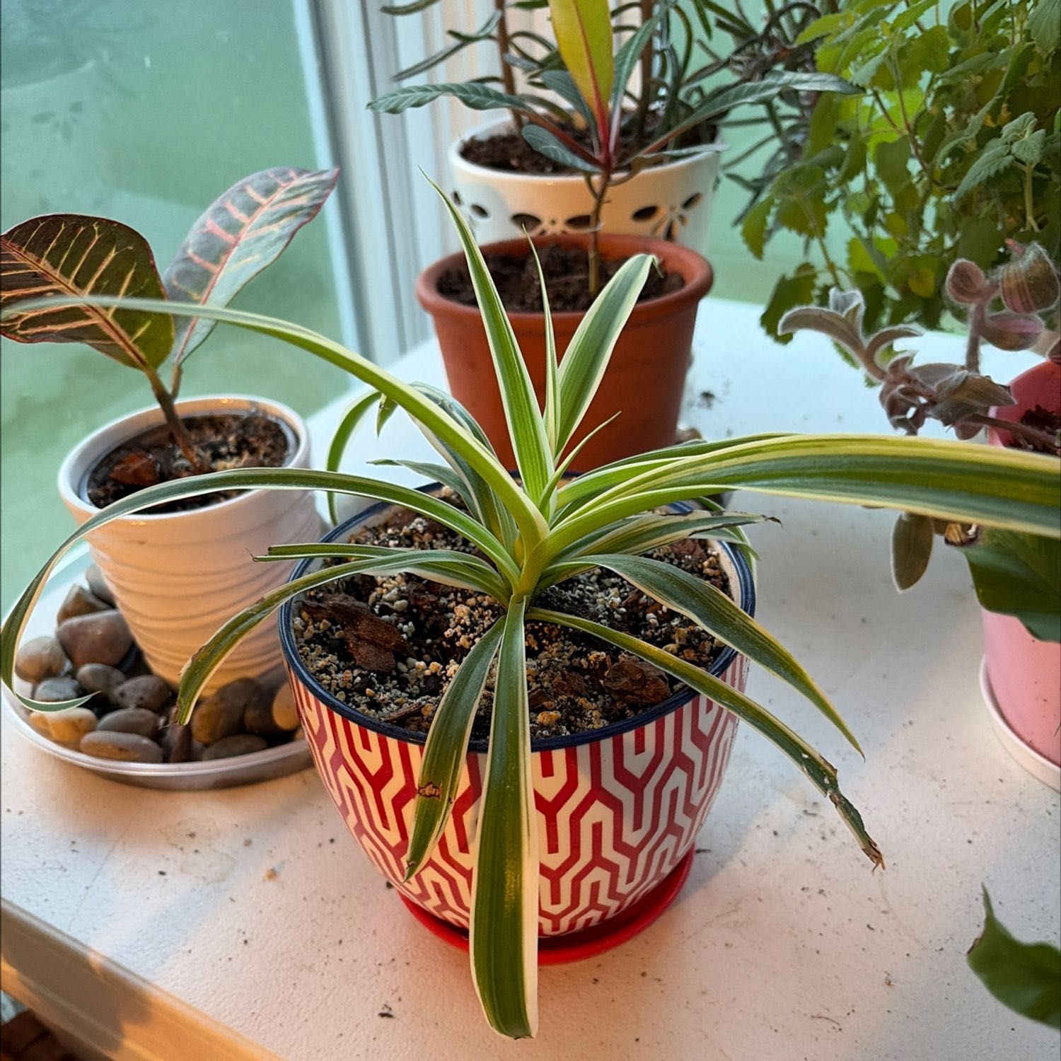 Photo from the post