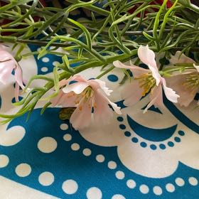 Photo of the plant species Snowdrop by @SavvyAirplant74 named Girlfrond on Greg, the plant care app