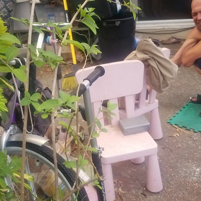 Photo of the plant species Blue Potato Bush by @ripariumroots named Maya on Greg, the plant care app