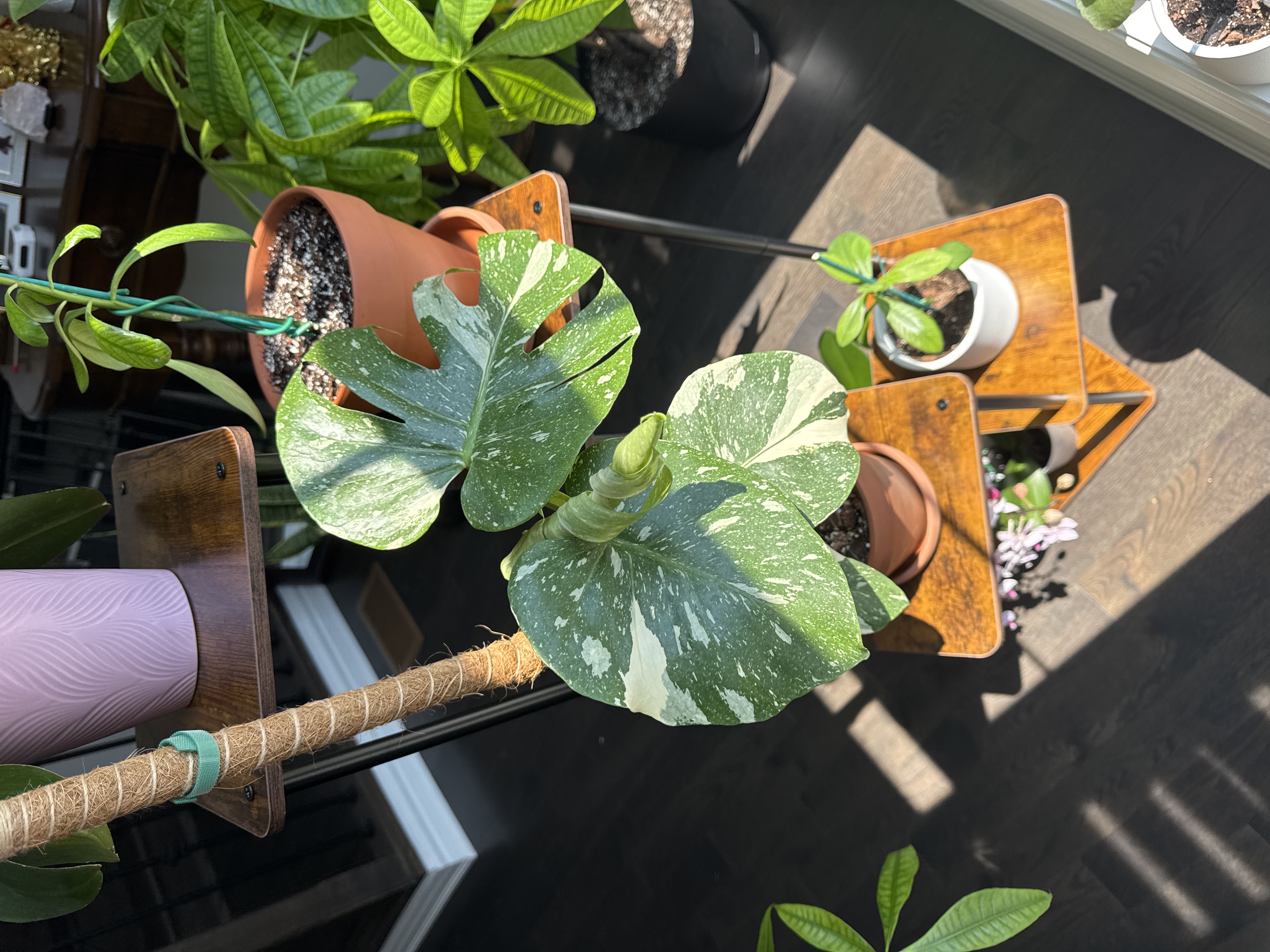 Photo from the post