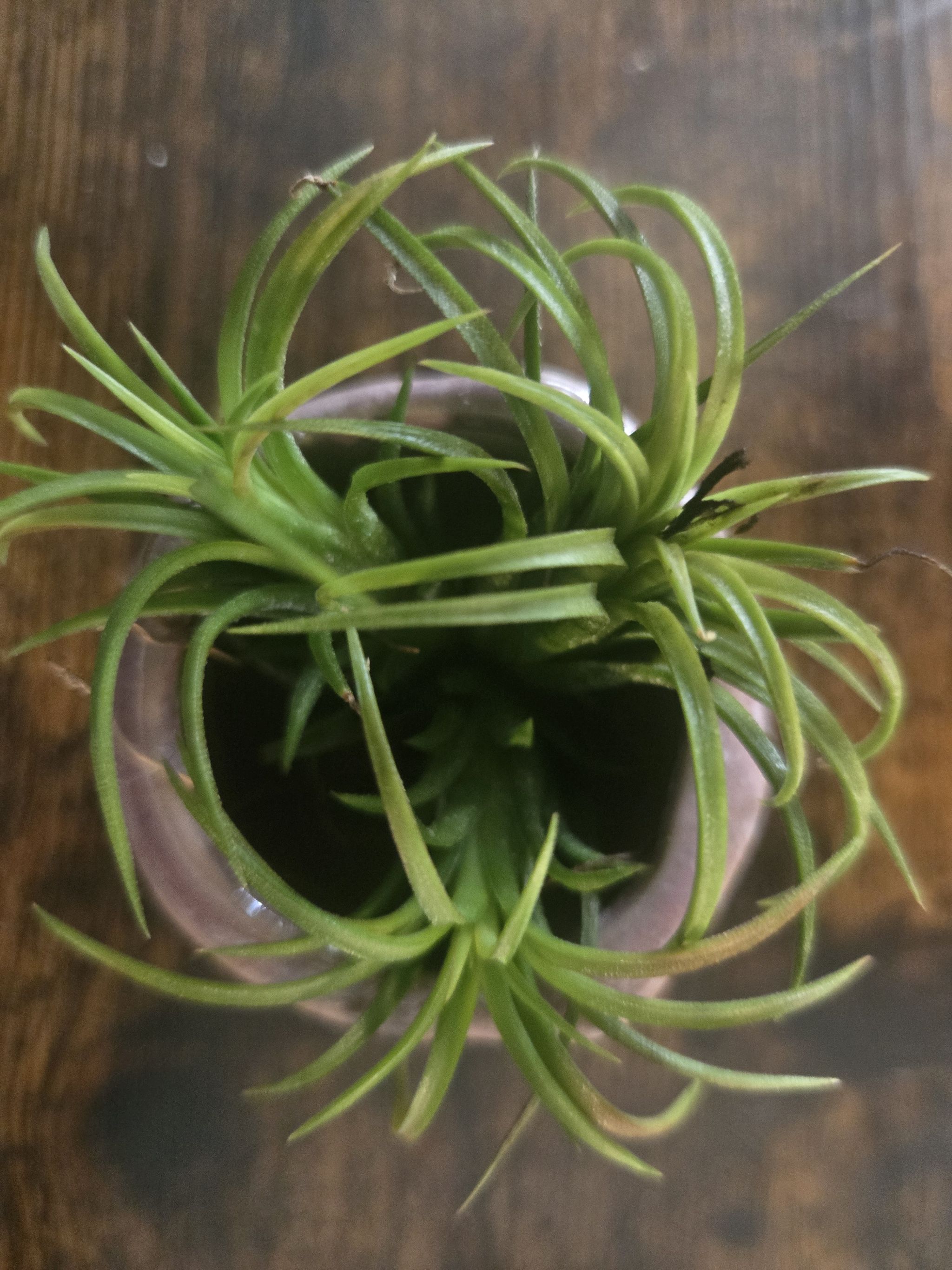 Photo from the post