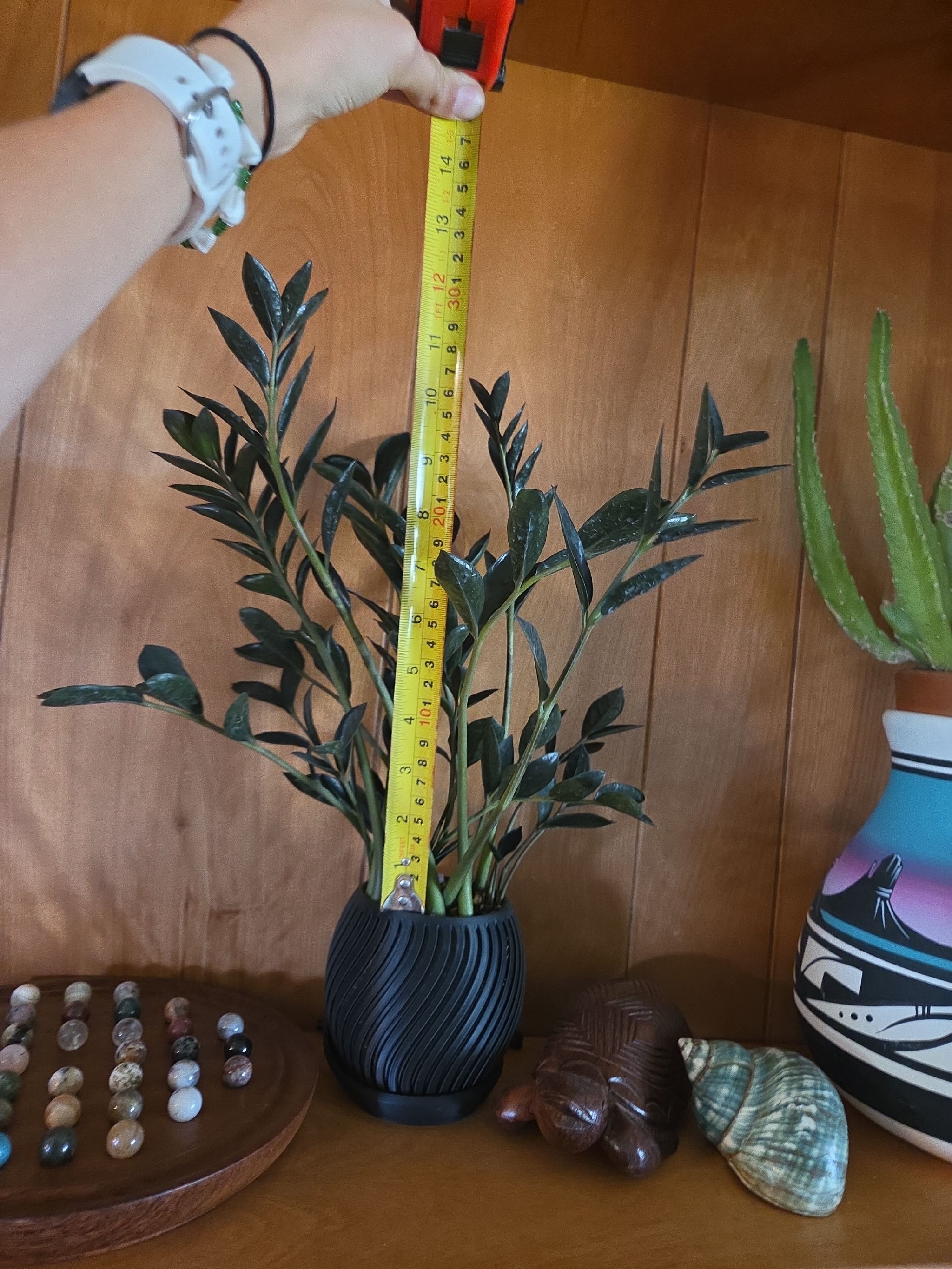 Photo from the post