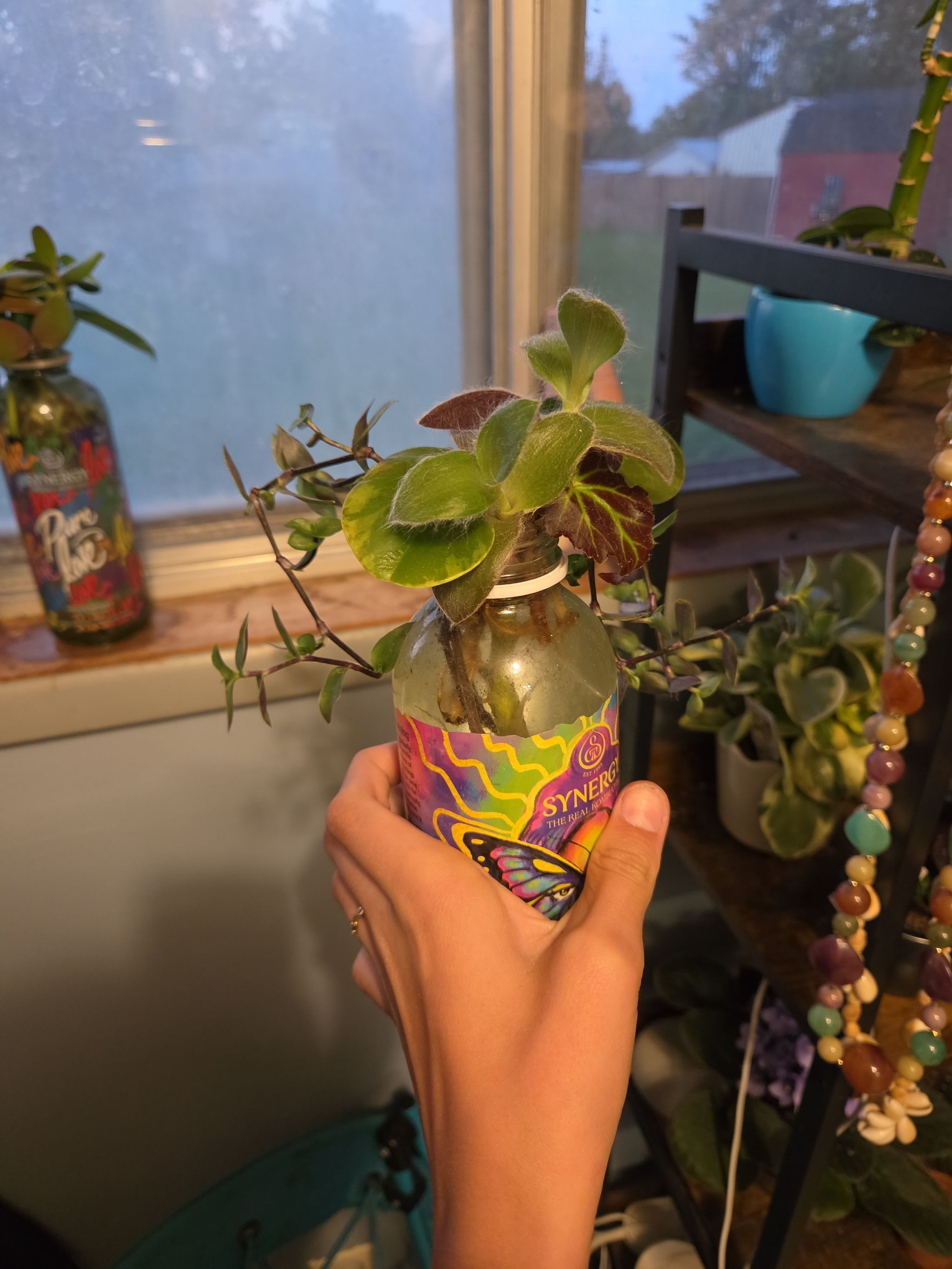Photo from the post