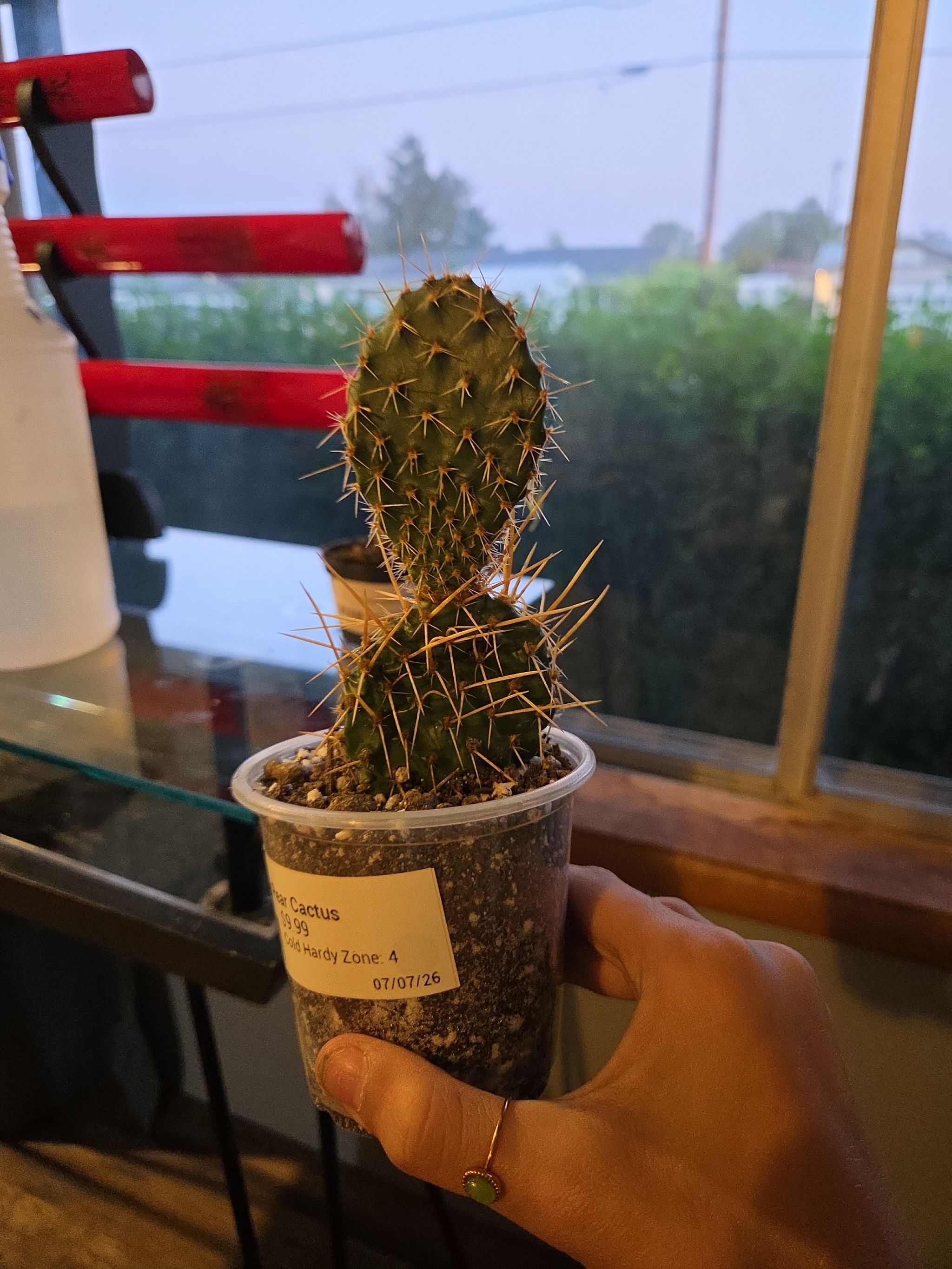 Photo from the post