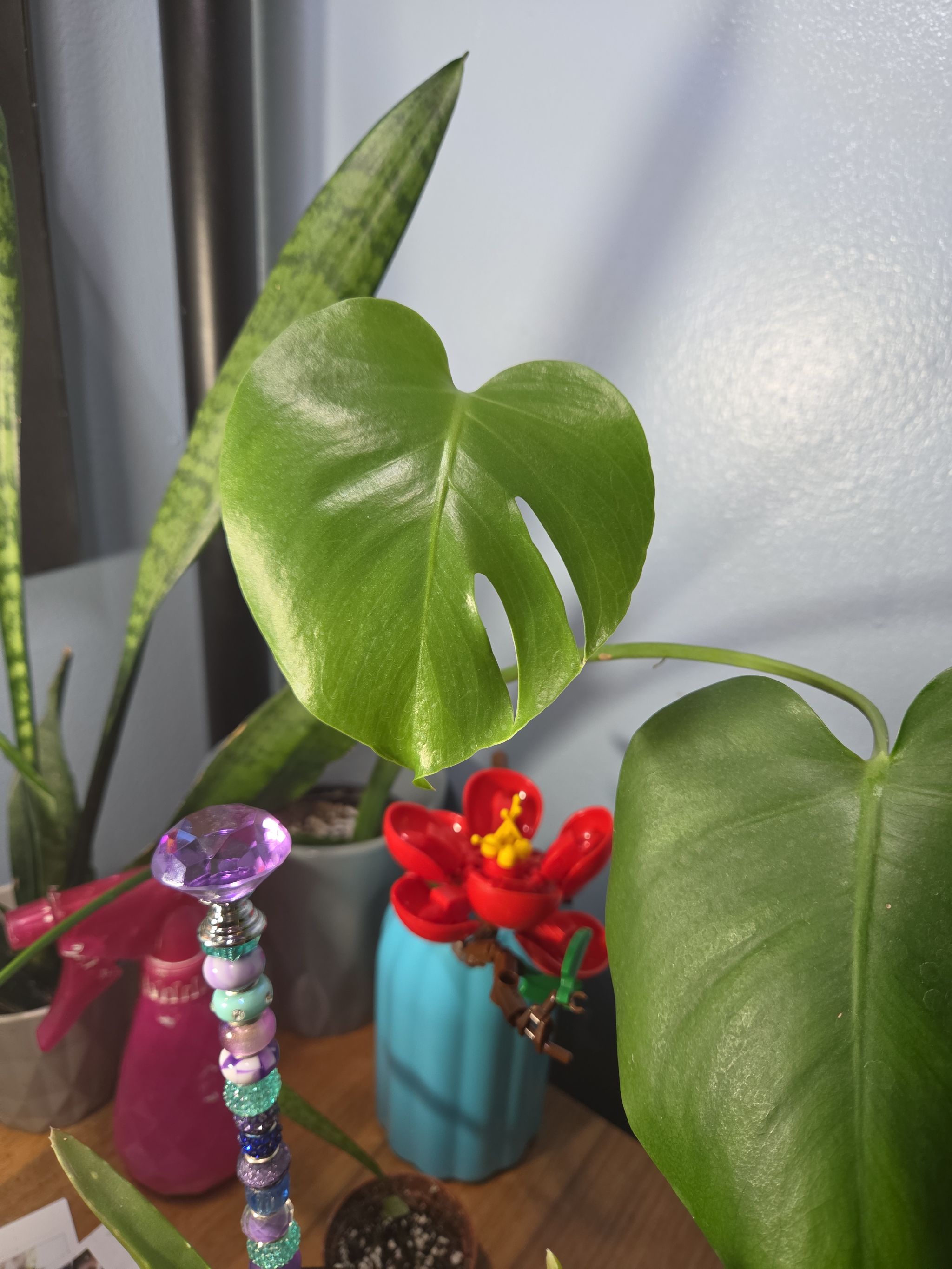 Photo from the post