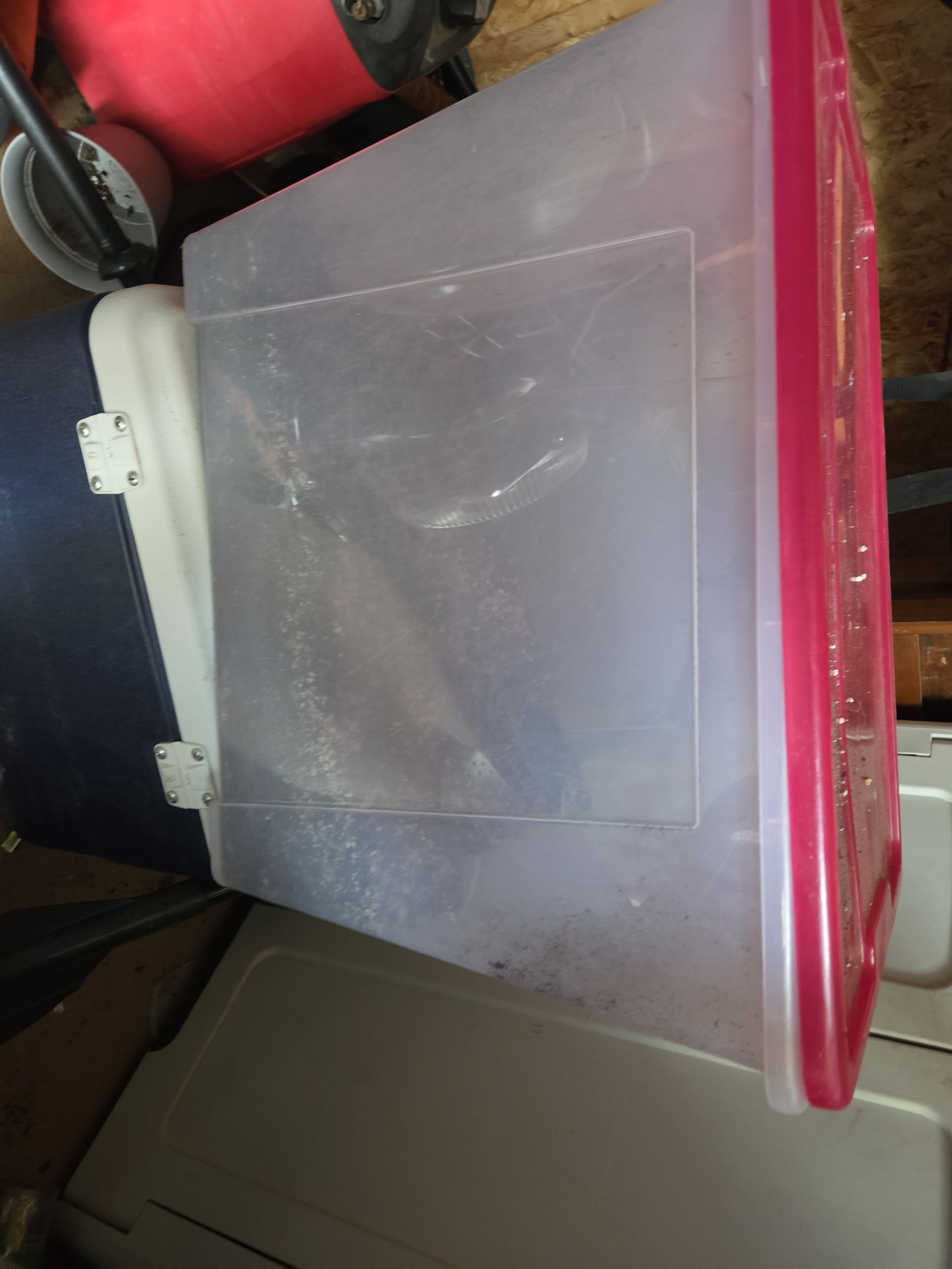 Photo from the post