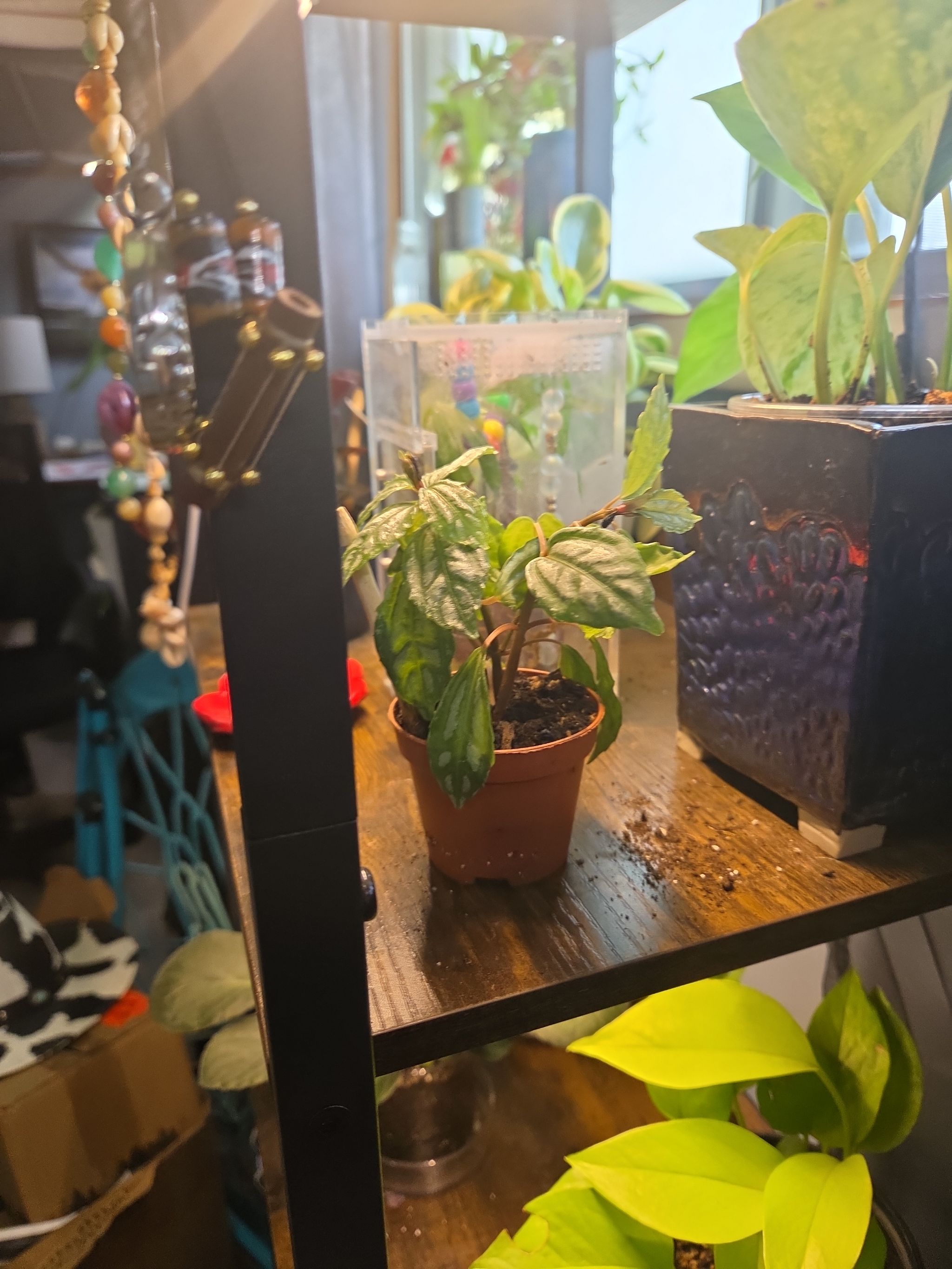 Photo from the post