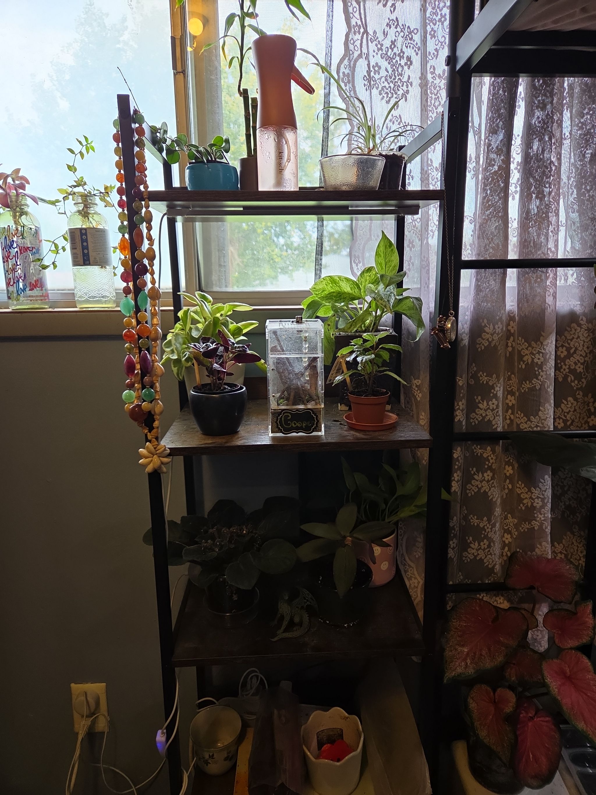 Photo from the post