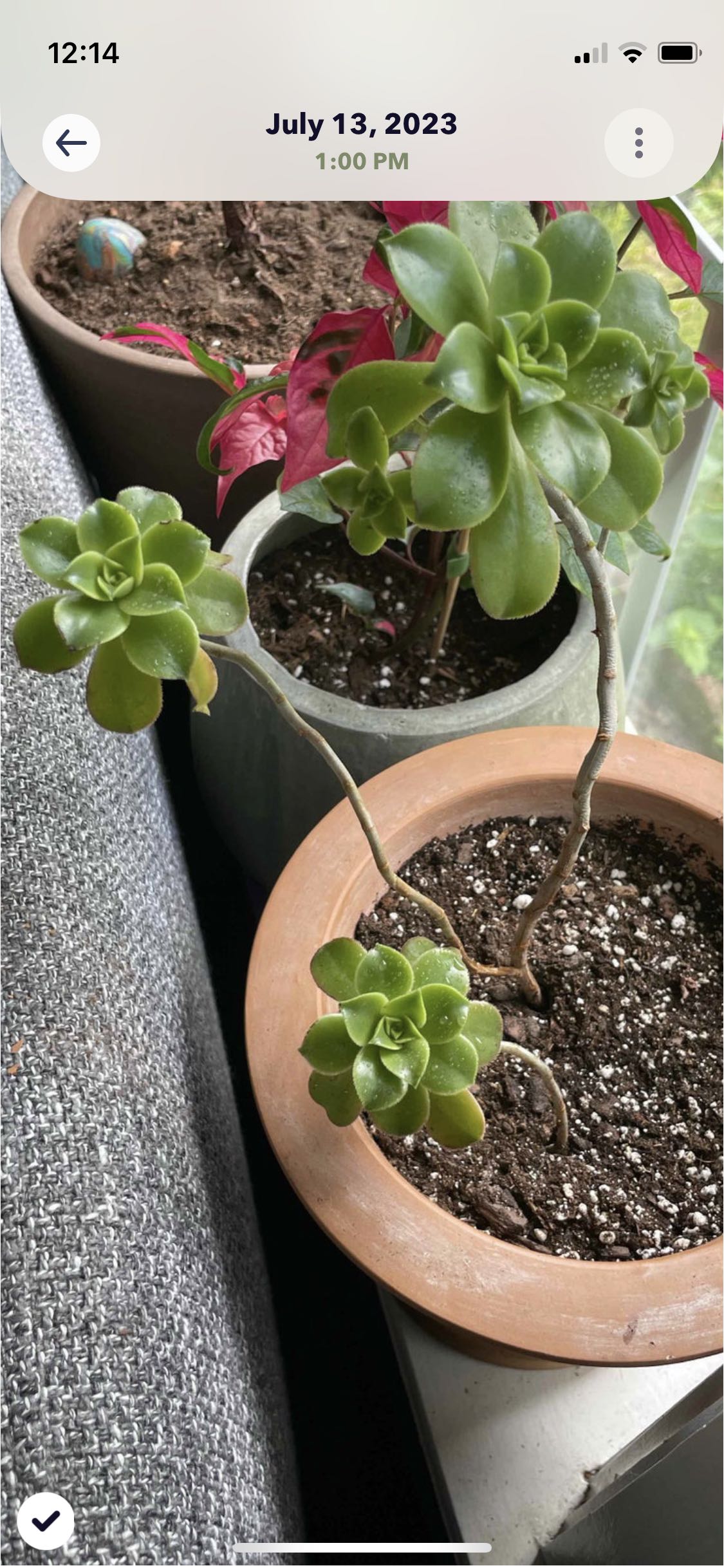 Photo from the post