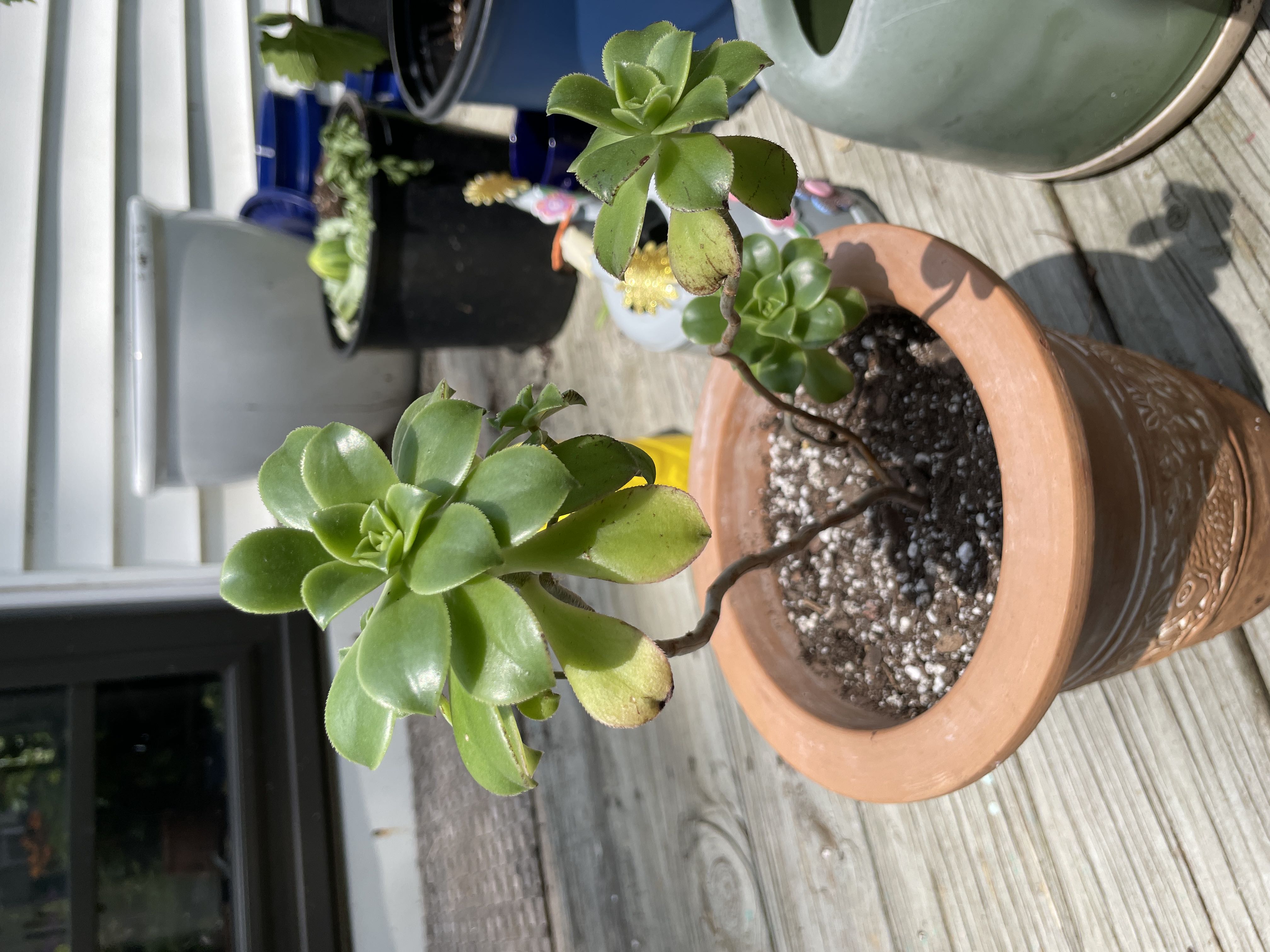 Photo from the post