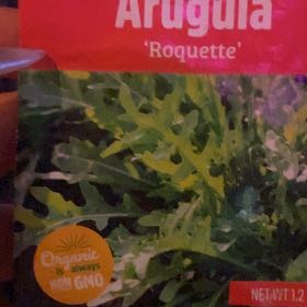 Photo of the plant species arugula by @PetBarley65 named Mollie on Greg, the plant care app