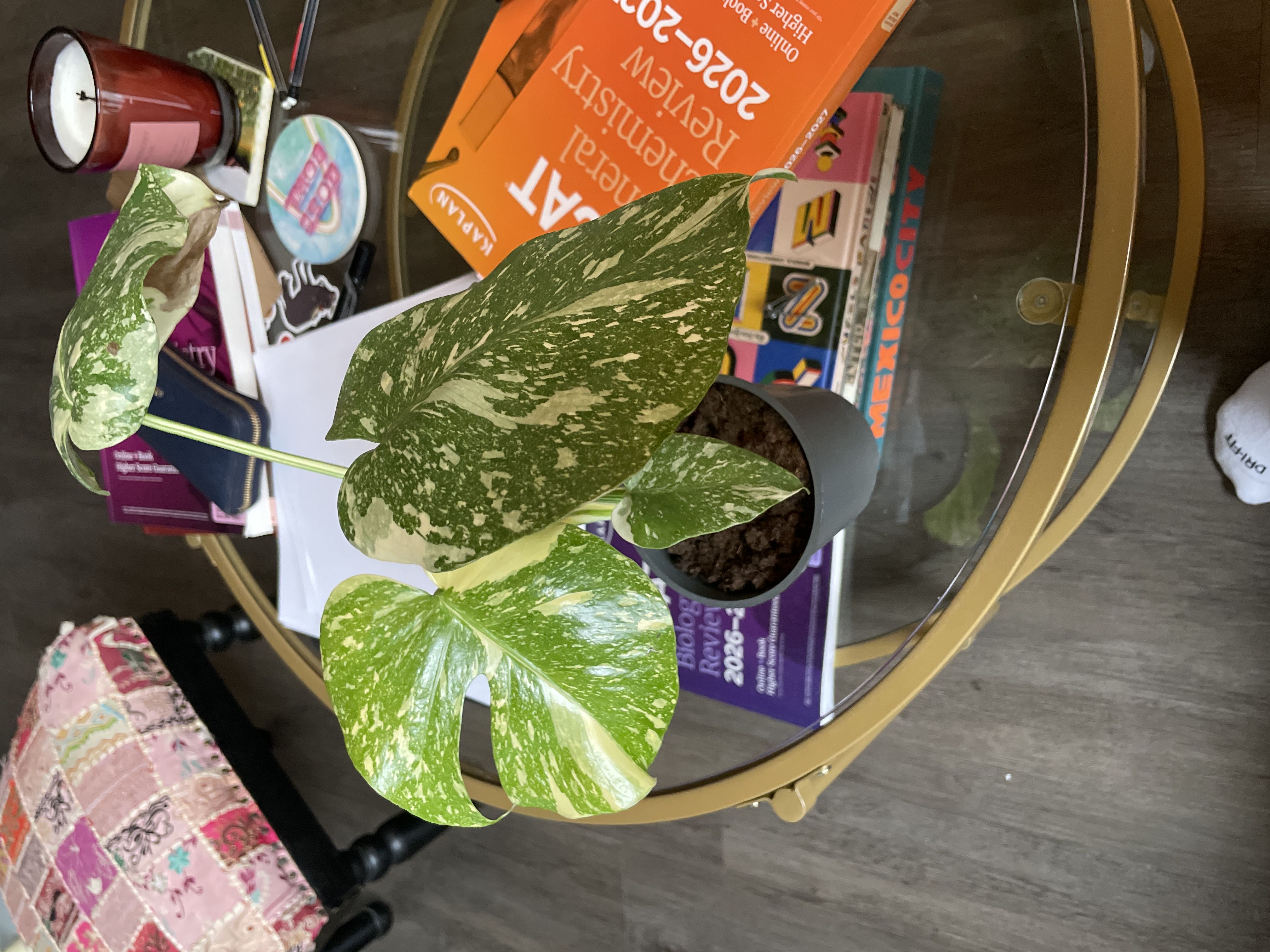 Photo from the post