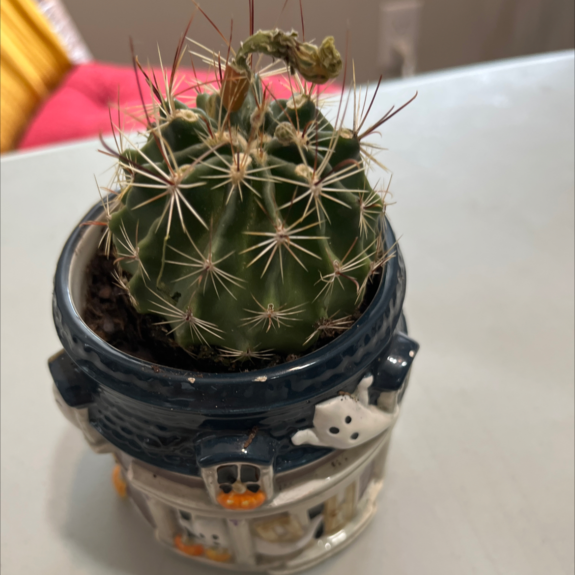 Pricklepuff