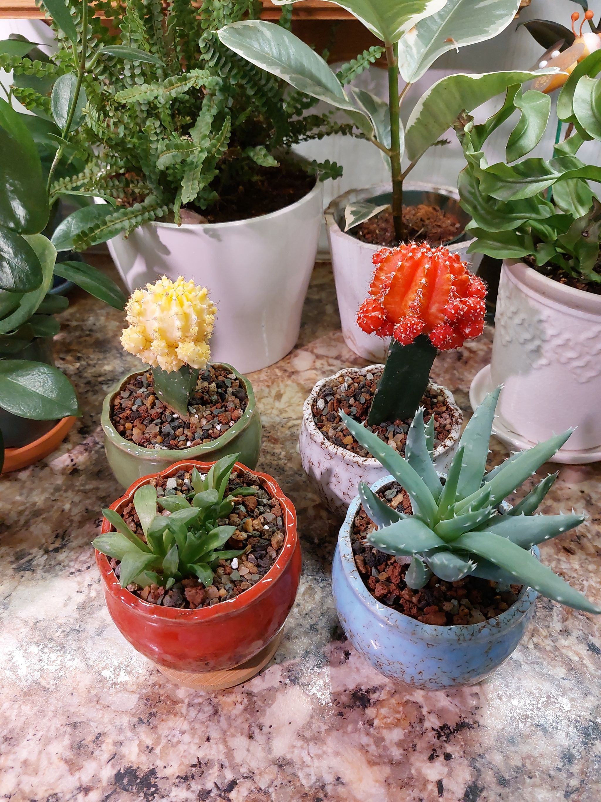 Photo from the post
