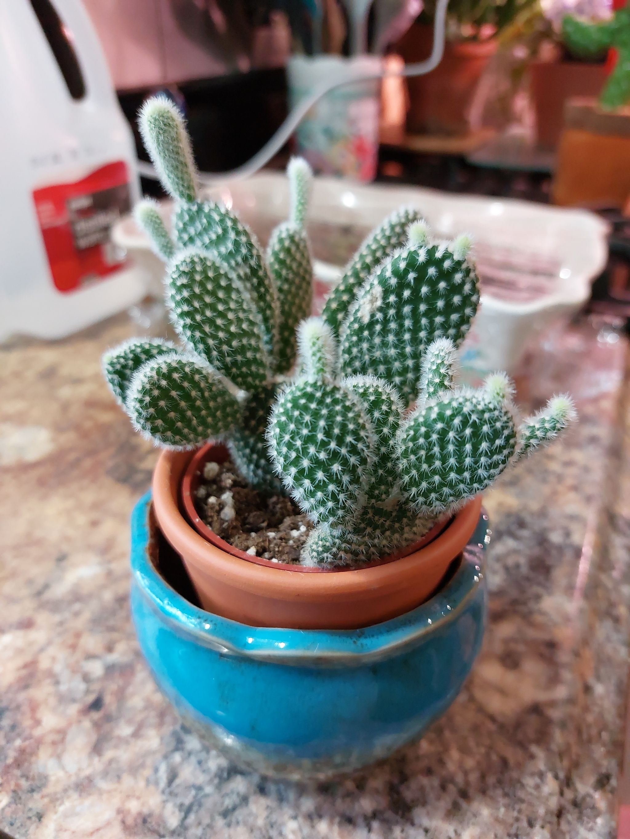 Photo from the post