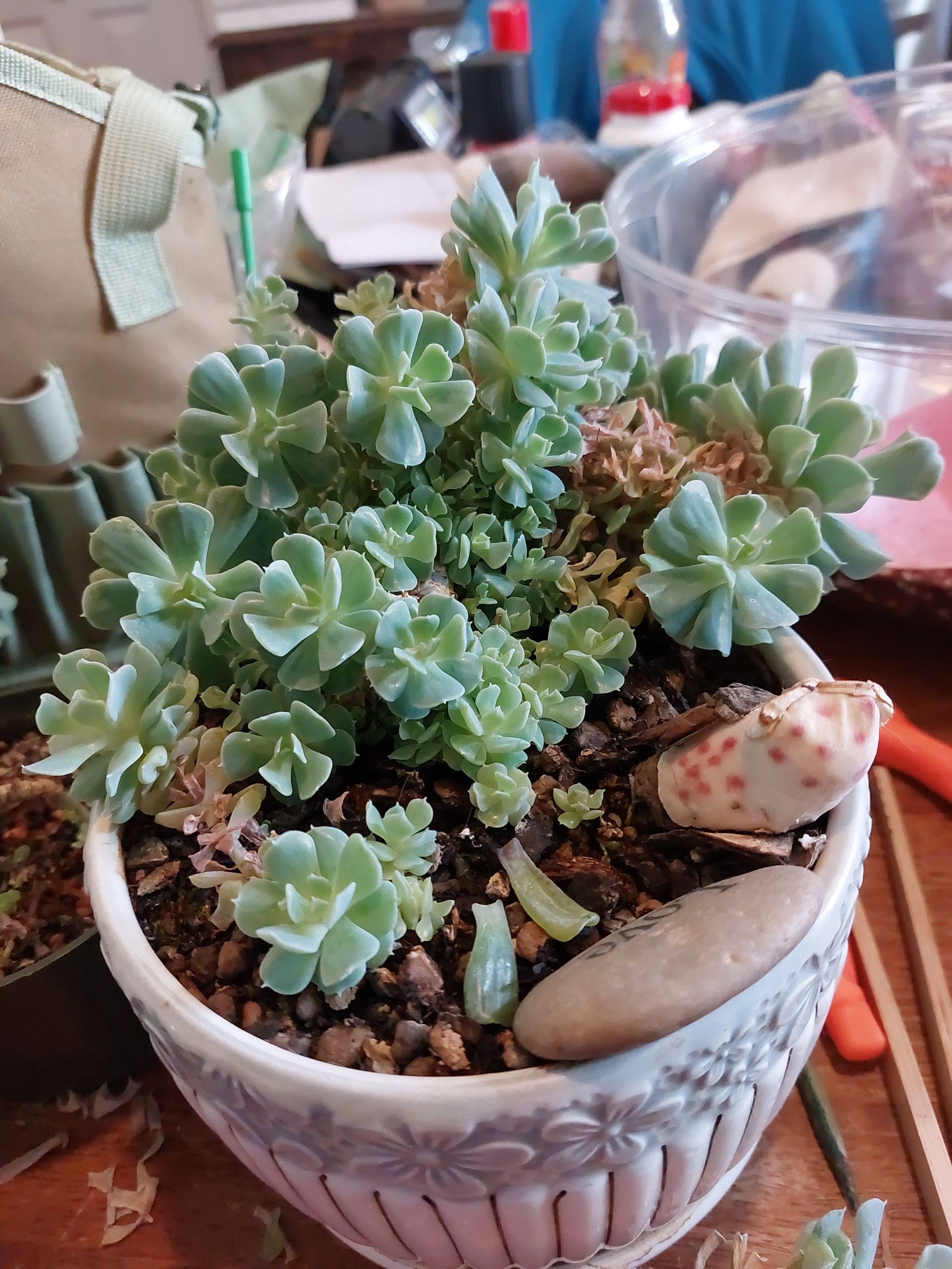 Photo from the post