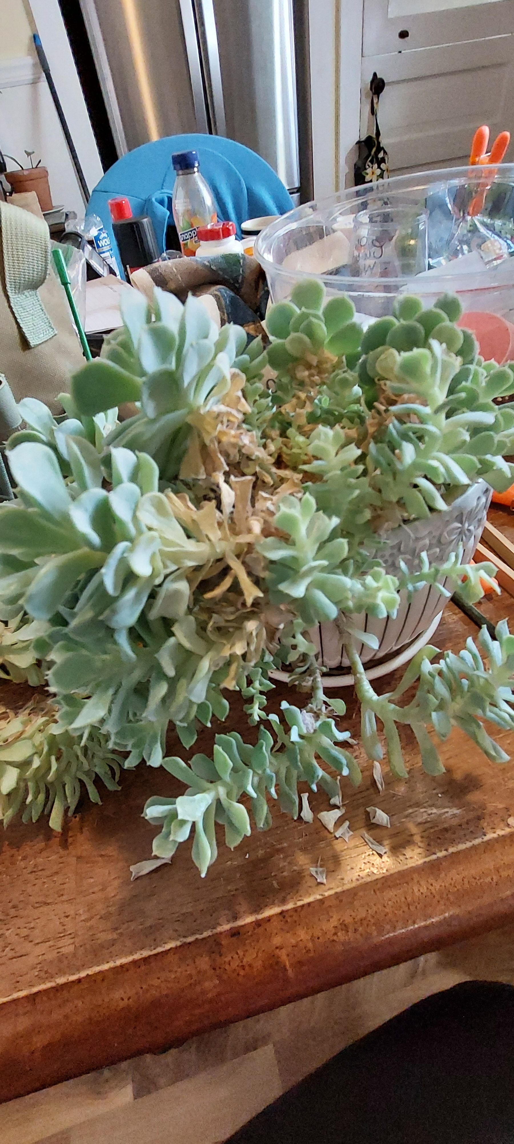 Photo from the post