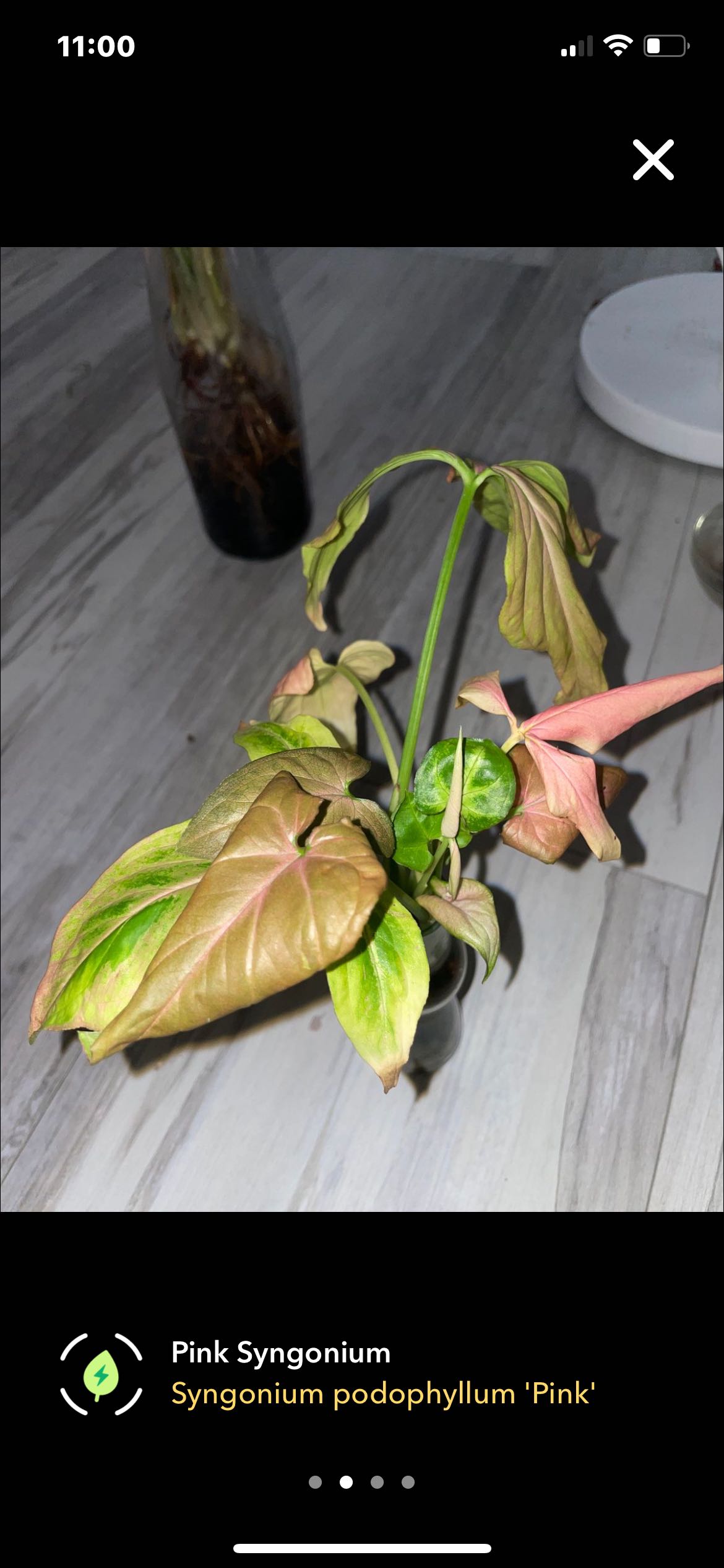 Photo from the post