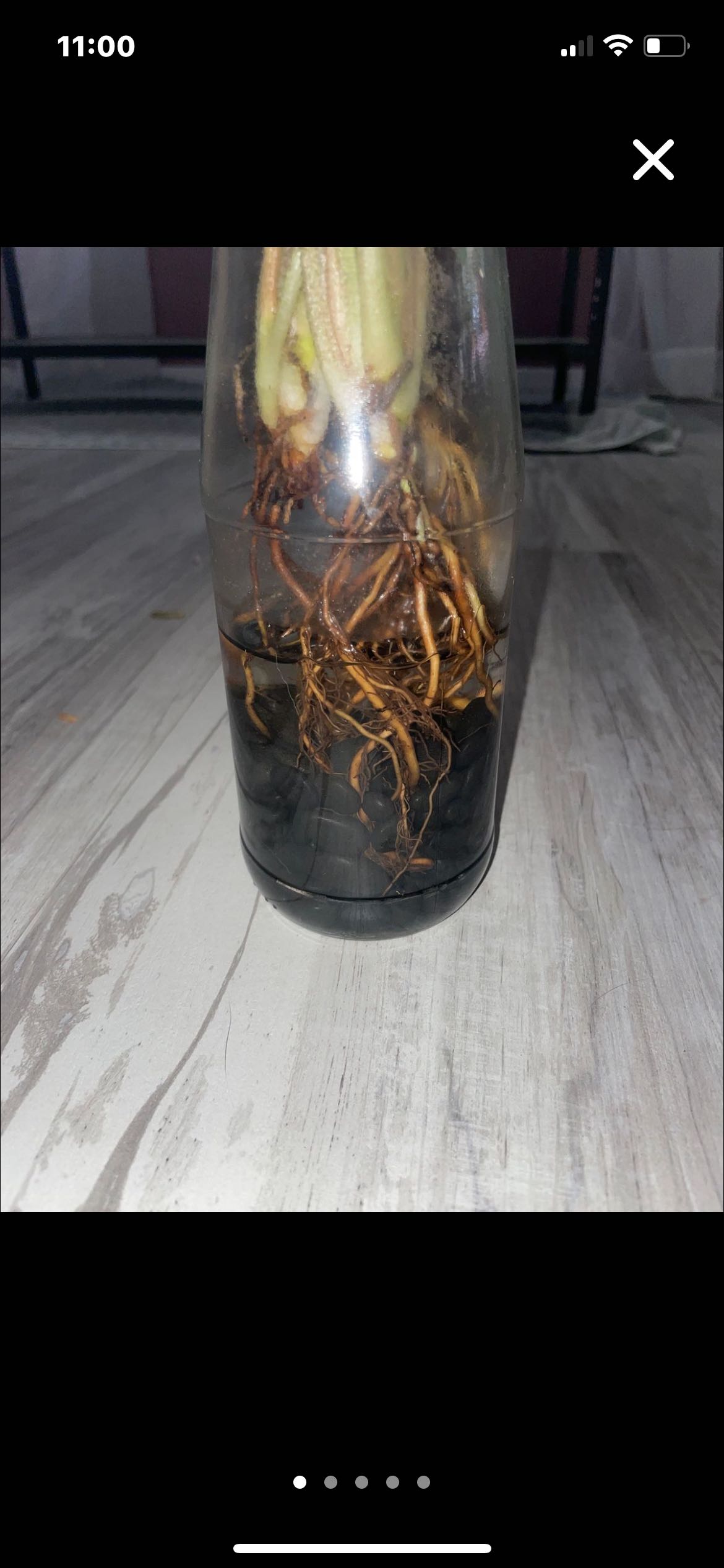 Photo from the post