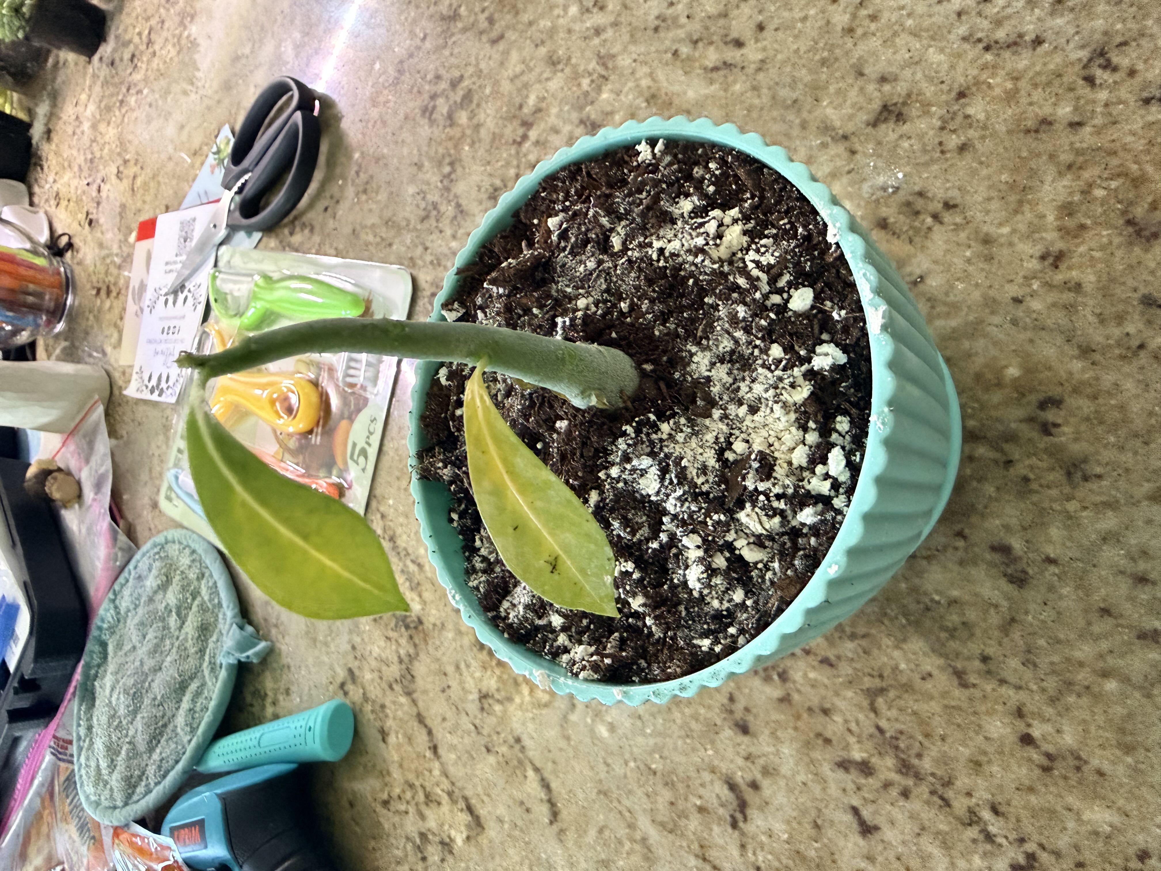 Photo from the post