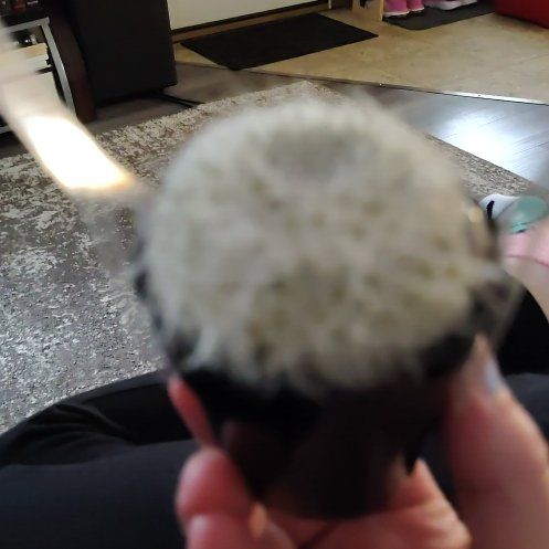 Photo of the plant species Assorted Cactus by @AnewTimeout68 named Spikey on Greg, the plant care app