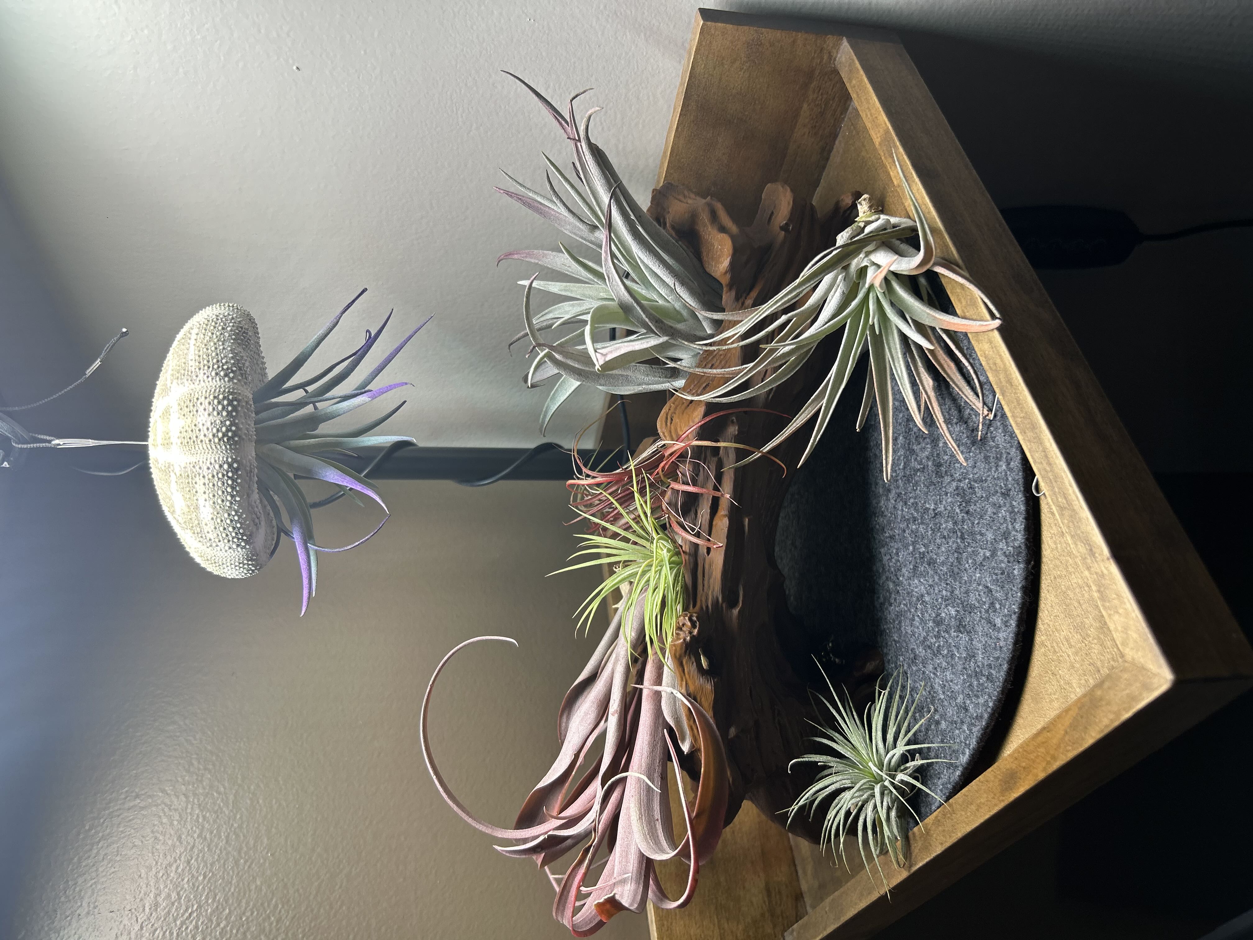 Photo from the post