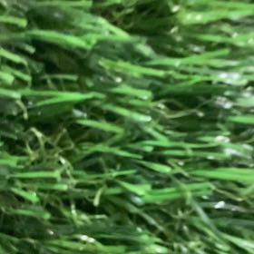 Photo of the plant species Green Sea Fingers by @AdeptRemuremu92 named McKinley on Greg, the plant care app