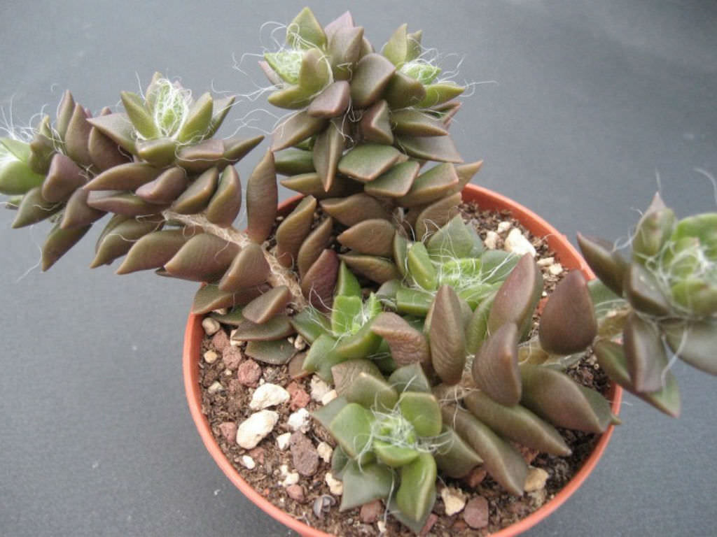Photo from the post