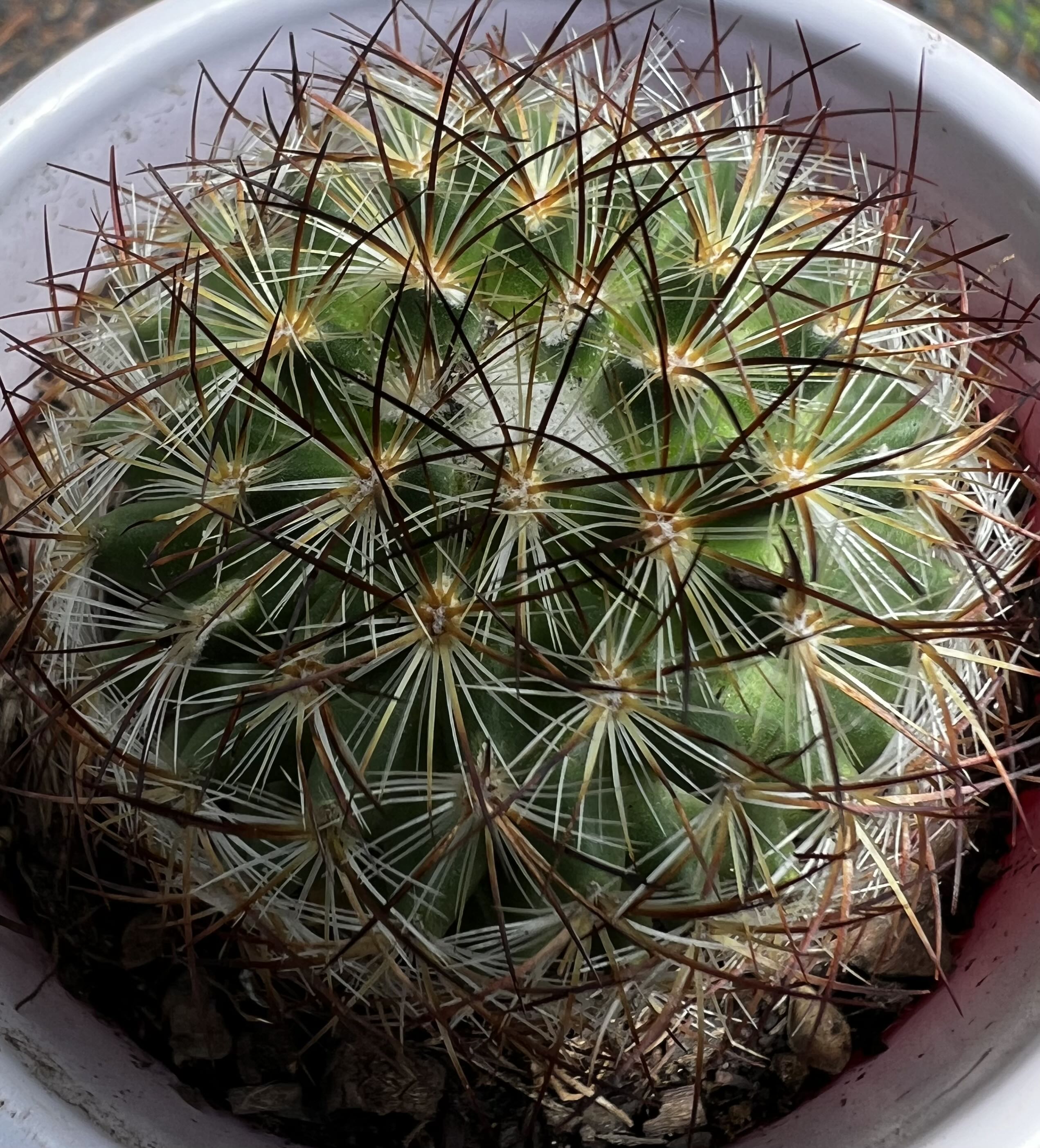 Photo from the post