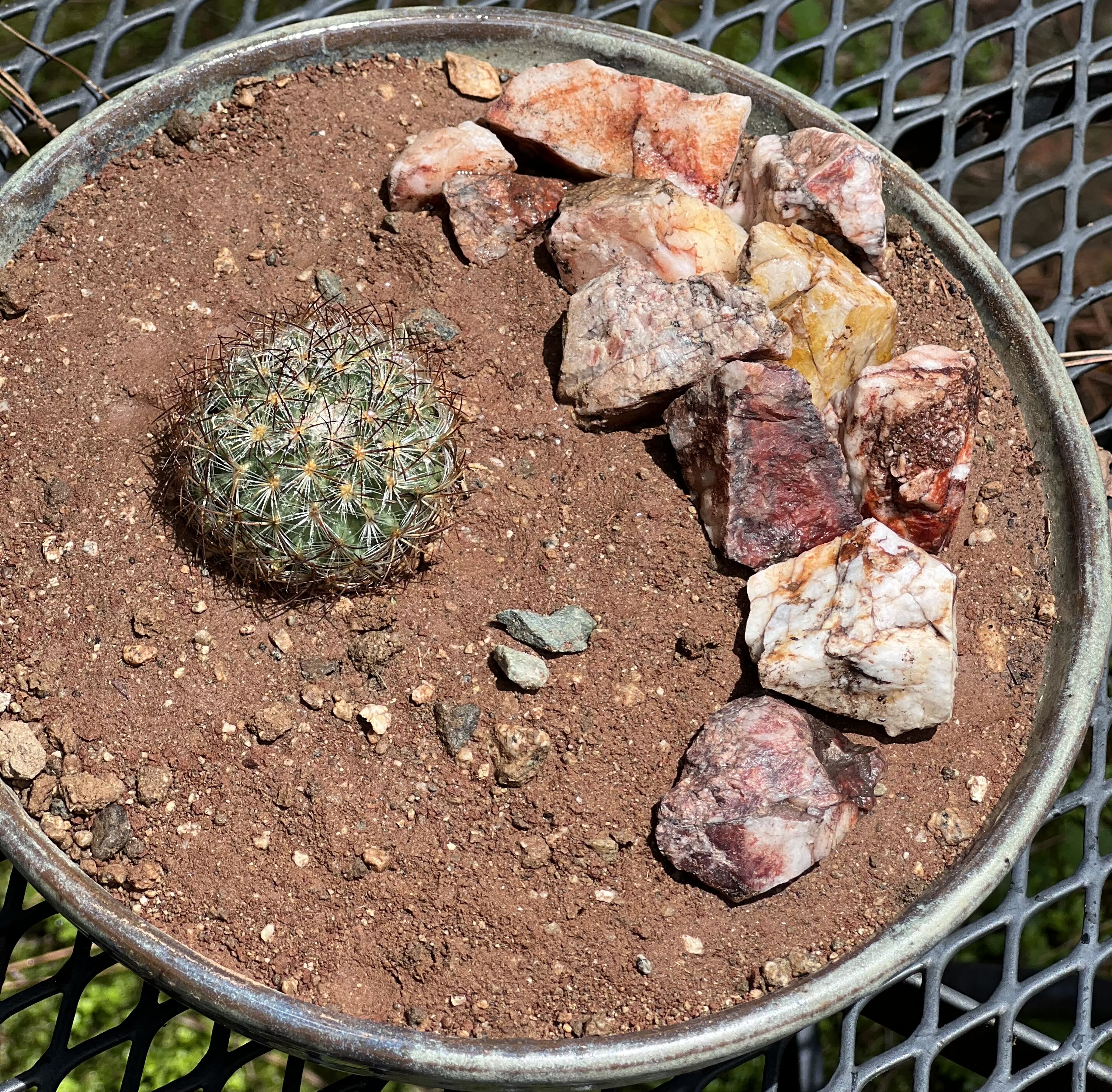Photo from the post