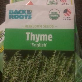 Photo of the plant species English Thyme by @MsJudah12 named N/A on Greg, the plant care app