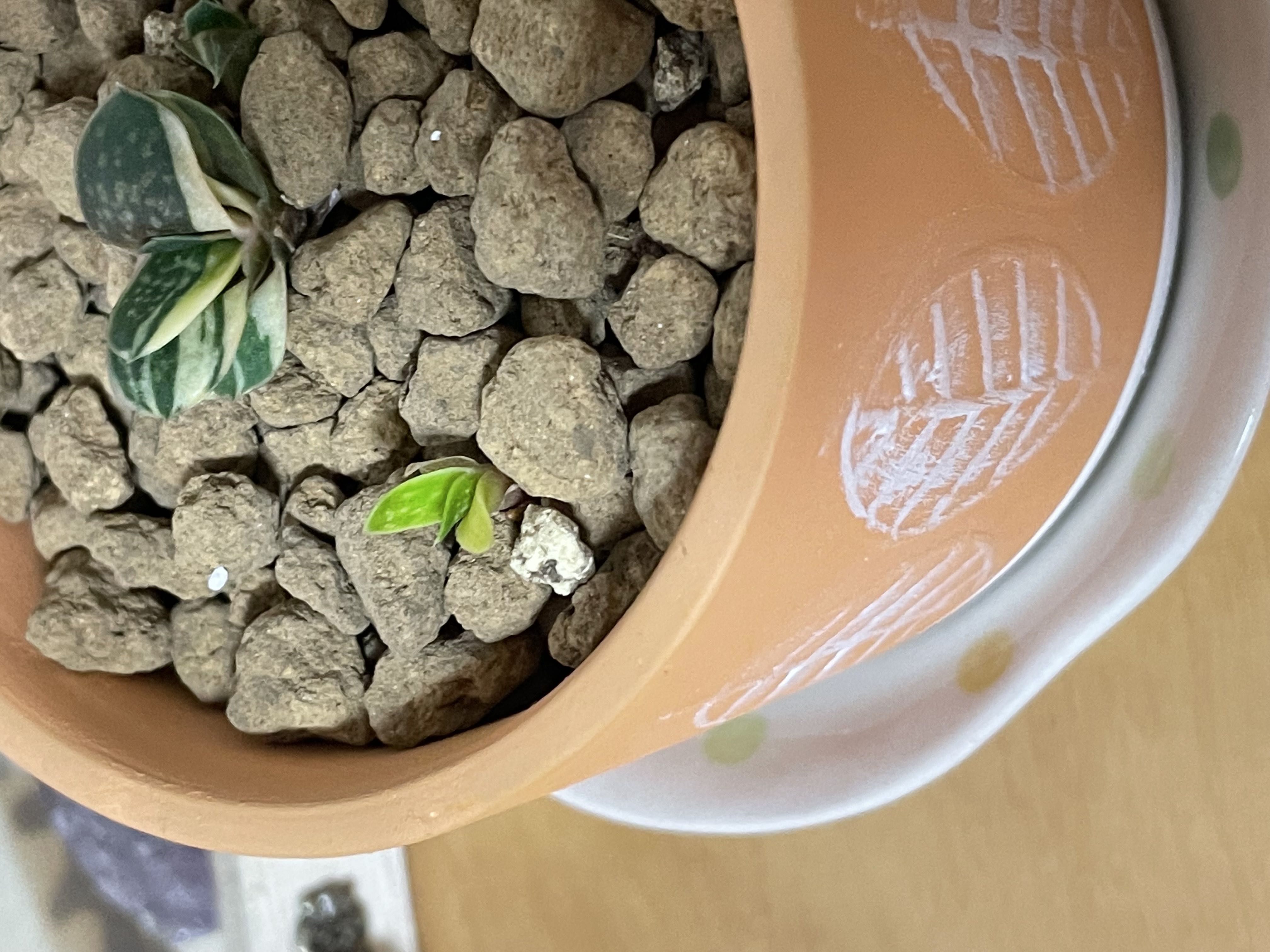 Photo from the post