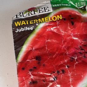 Photo of the plant species Jubilee Watermelon by @BeefyBlueech52 named ChloroPhil on Greg, the plant care app