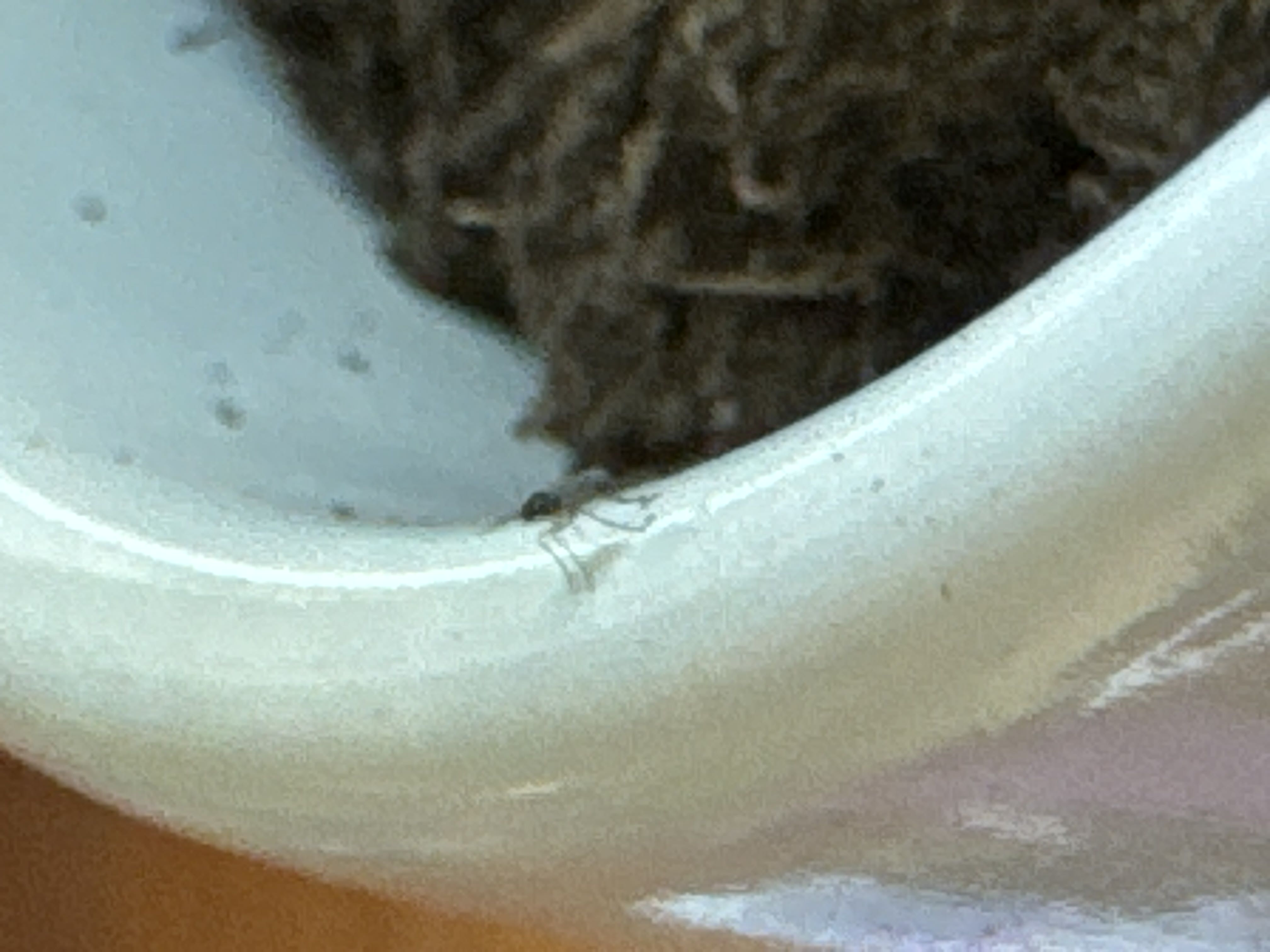 Photo from the post