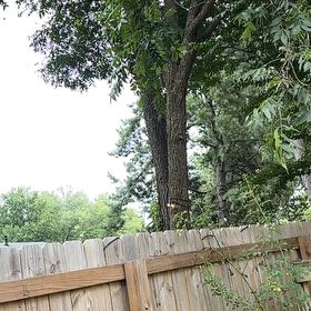Photo of the plant species Pecan by @ClubbyMangeao51 named Sahara on Greg, the plant care app
