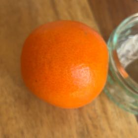 Photo of the plant species Hardy Orange by @Ladywithcacti named Queen on Greg, the plant care app