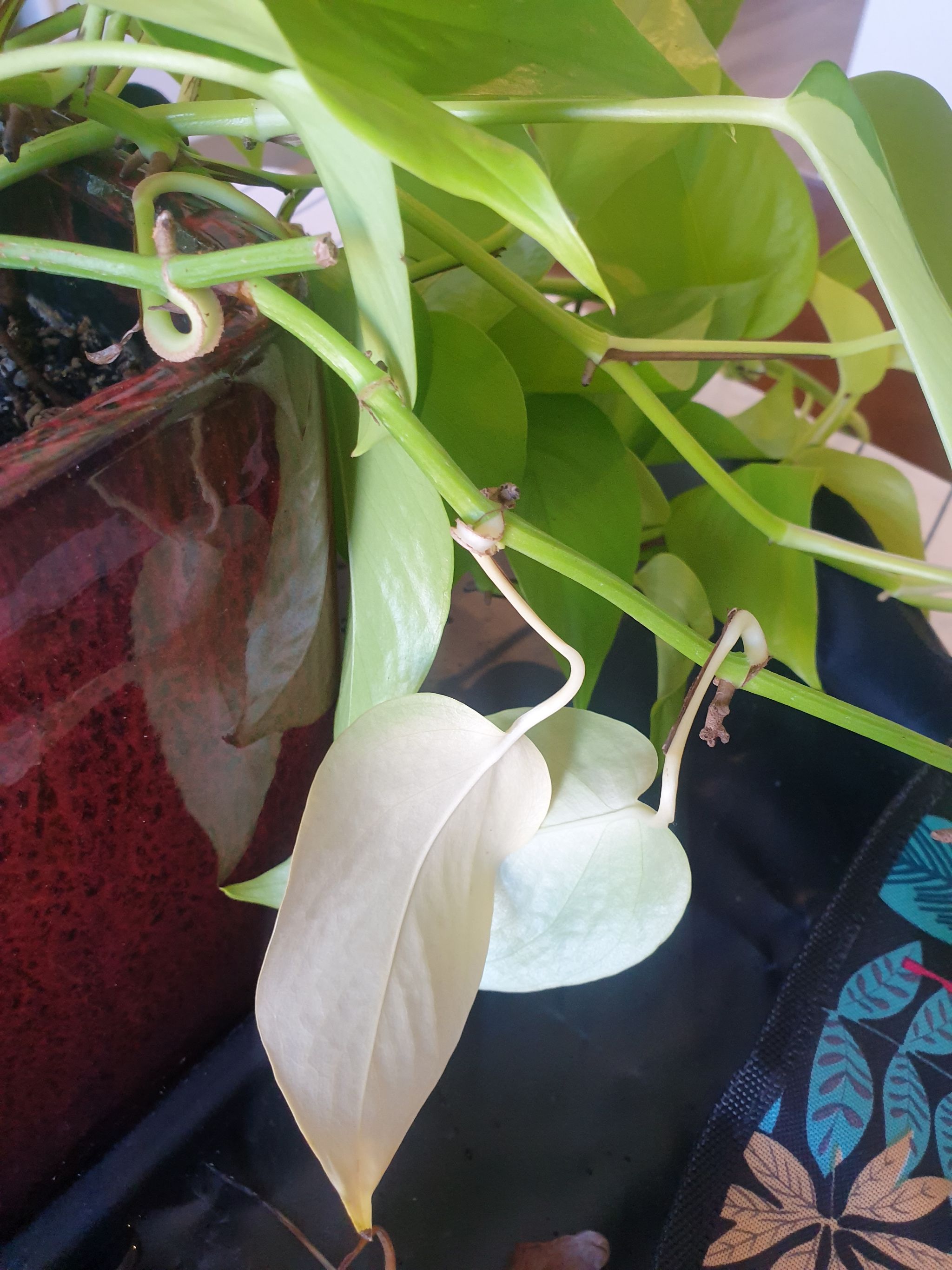Photo from the post